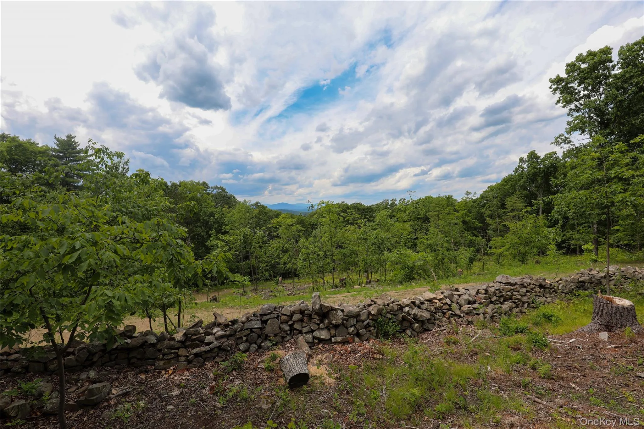 750 Cow Hough Road, New Paltz, NY, ,Land,For Rent,Cow Hough,0,1018465 750 Cow Hough Road, New Paltz, NY, ,Land,For Rent,Cow Hough,0,1018465