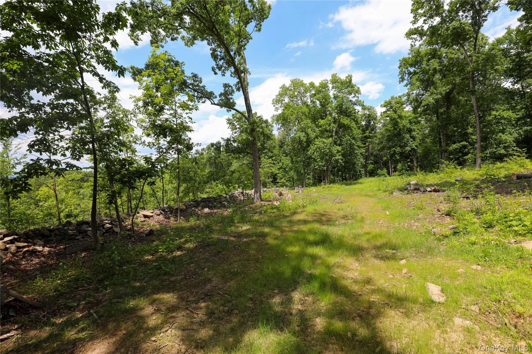 750 Cow Hough Road, New Paltz, NY, ,Land,For Rent,Cow Hough,0,1018465 750 Cow Hough Road, New Paltz, NY, ,Land,For Rent,Cow Hough,0,1018465