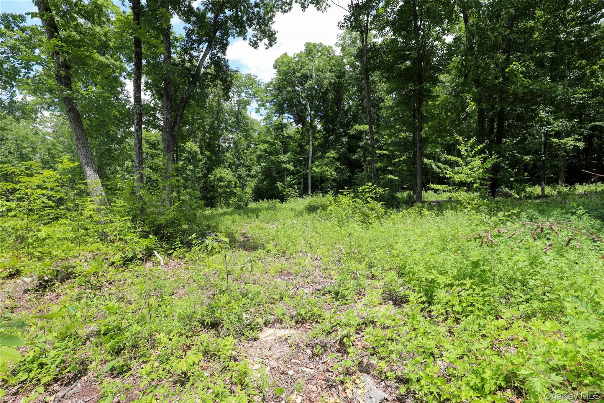 750 Cow Hough Road, New Paltz, NY, ,Land,For Rent,Cow Hough,0,1018465 750 Cow Hough Road, New Paltz, NY, ,Land,For Rent,Cow Hough,0,1018465