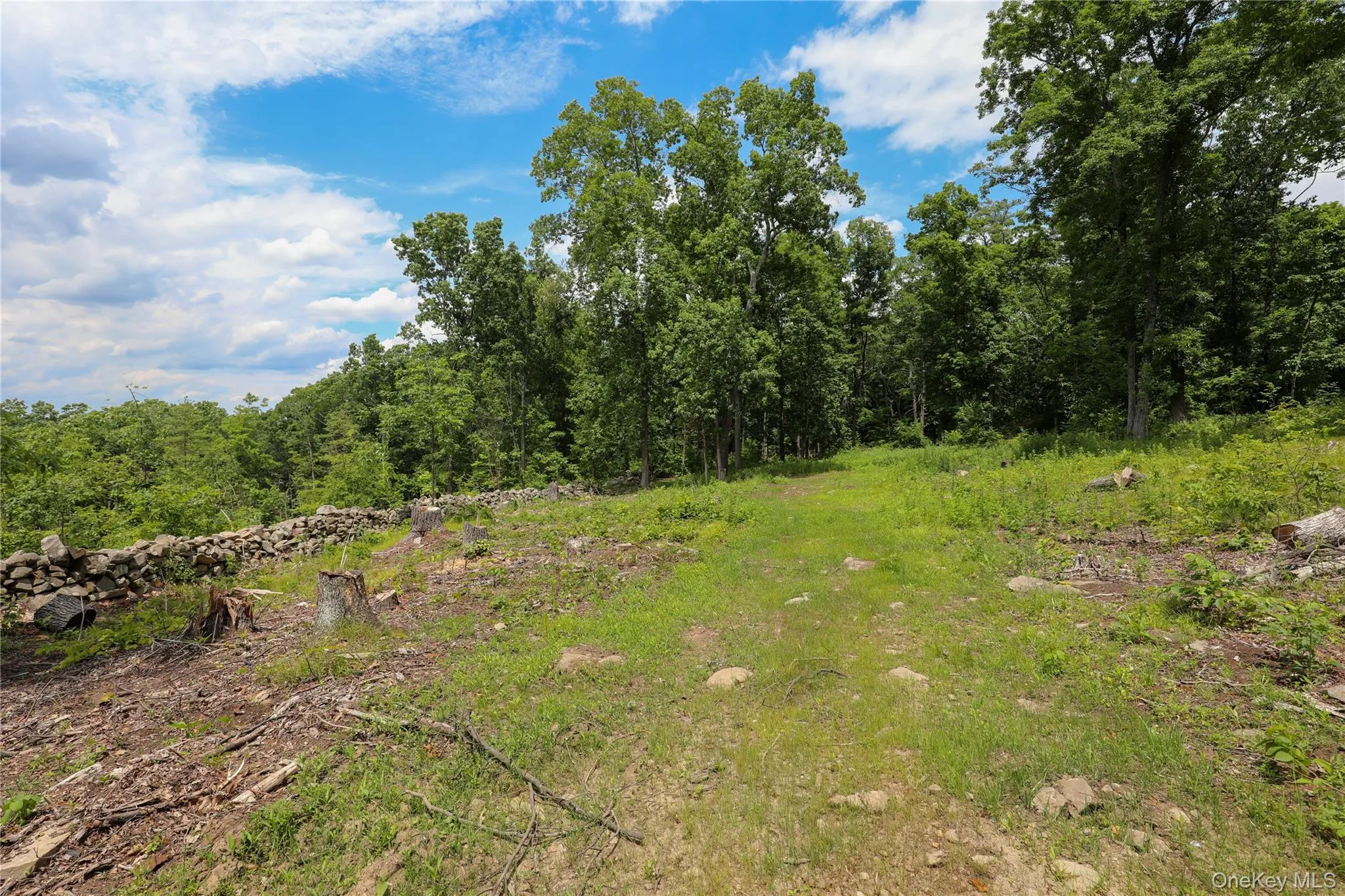 750 Cow Hough Road, New Paltz, NY, ,Land,For Rent,Cow Hough,0,1018465 750 Cow Hough Road, New Paltz, NY, ,Land,For Rent,Cow Hough,0,1018465