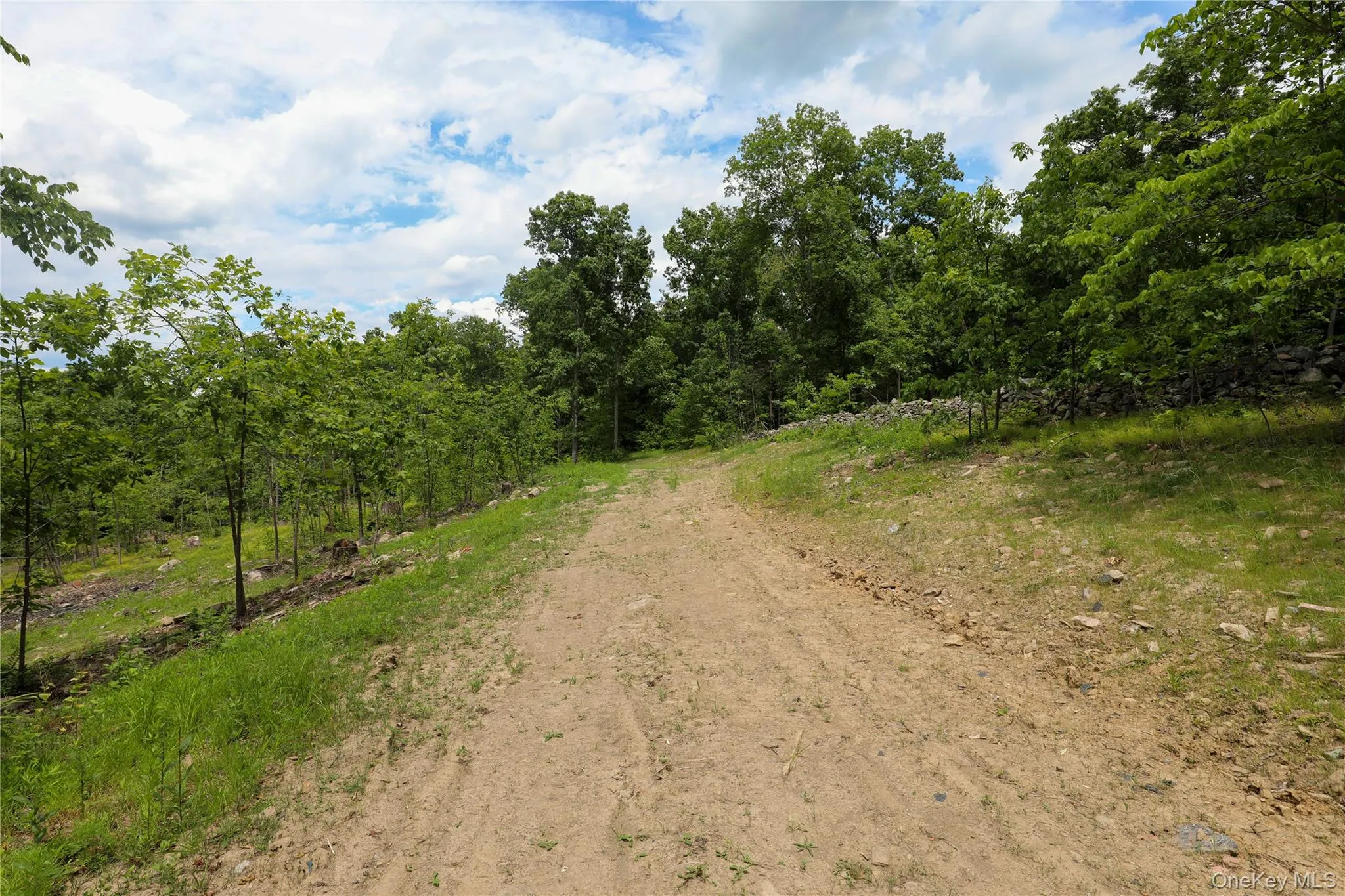 750 Cow Hough Road, New Paltz, NY, ,Land,For Rent,Cow Hough,0,1018465 750 Cow Hough Road, New Paltz, NY, ,Land,For Rent,Cow Hough,0,1018465