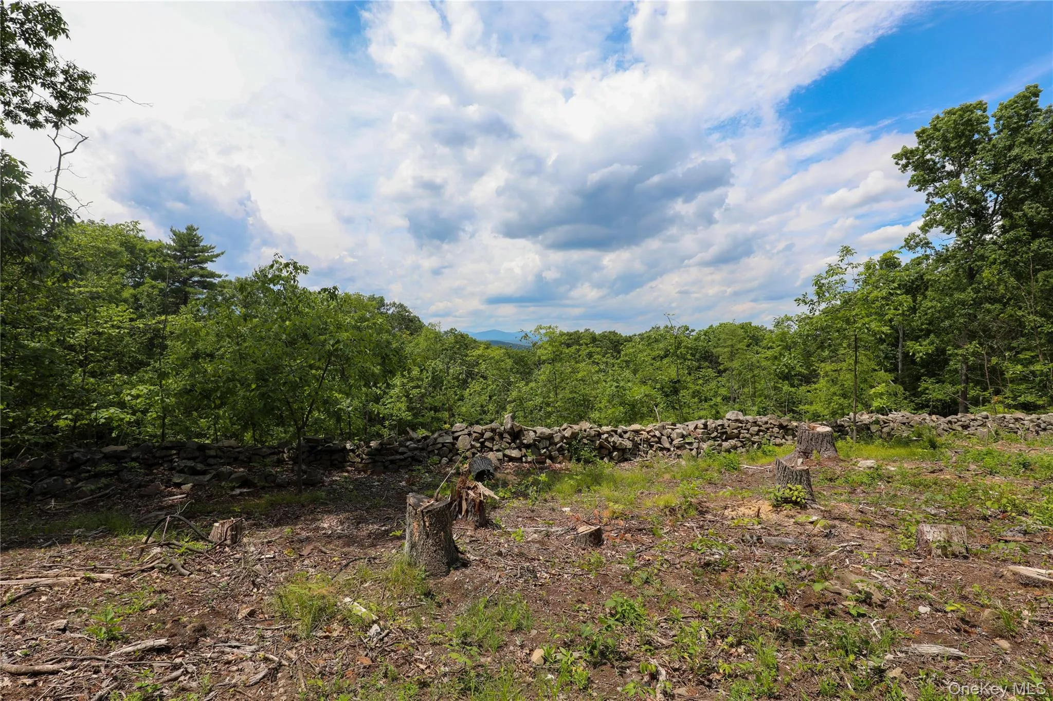 750 Cow Hough Road, New Paltz, NY, ,Land,For Rent,Cow Hough,0,1018465 750 Cow Hough Road, New Paltz, NY, ,Land,For Rent,Cow Hough,0,1018465
