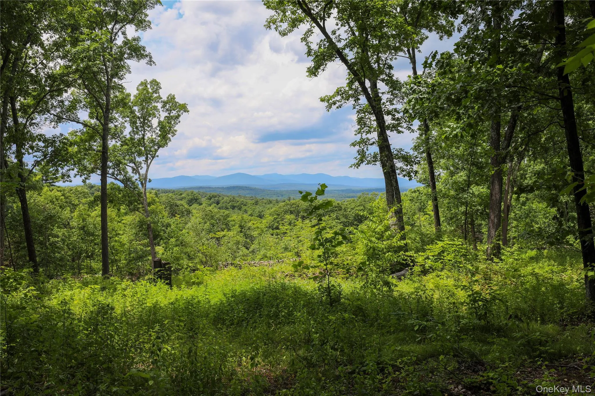 750 Cow Hough Road, New Paltz, NY, ,Land,For Rent,Cow Hough,0,1018465 750 Cow Hough Road, New Paltz, NY, ,Land,For Rent,Cow Hough,0,1018465