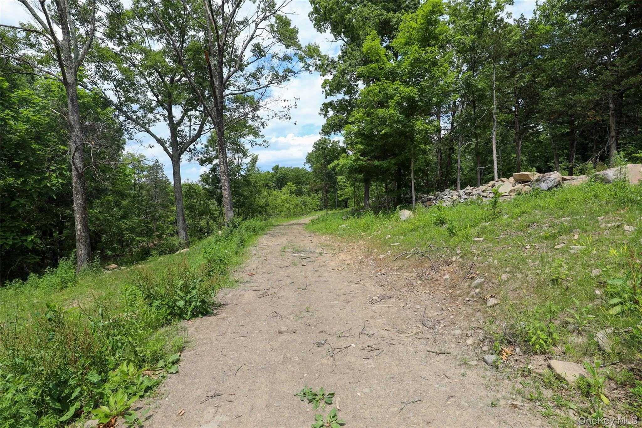 750 Cow Hough Road, New Paltz, NY, ,Land,For Rent,Cow Hough,0,1018465 750 Cow Hough Road, New Paltz, NY, ,Land,For Rent,Cow Hough,0,1018465