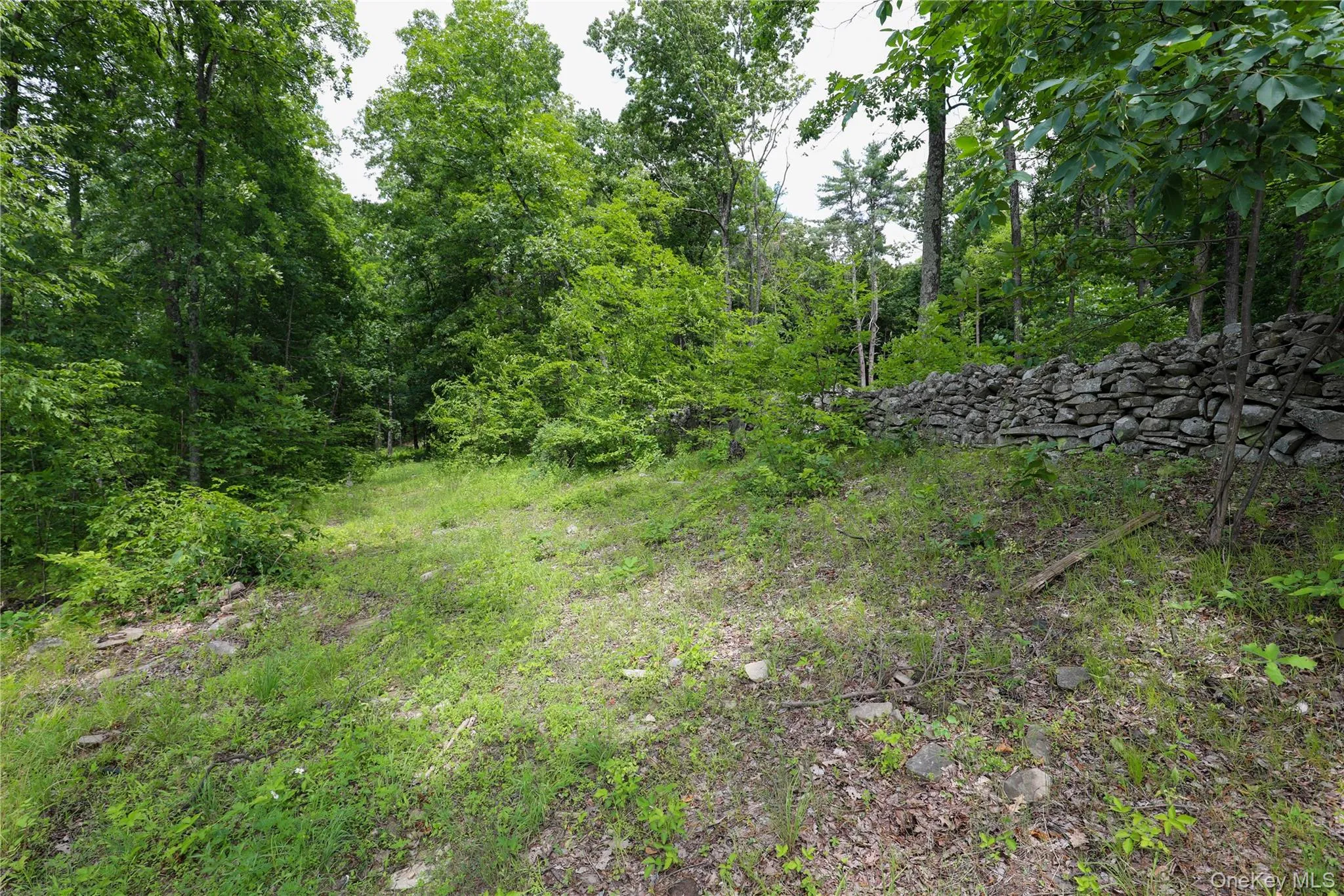 750 Cow Hough Road, New Paltz, NY, ,Land,For Rent,Cow Hough,0,1018465 750 Cow Hough Road, New Paltz, NY, ,Land,For Rent,Cow Hough,0,1018465