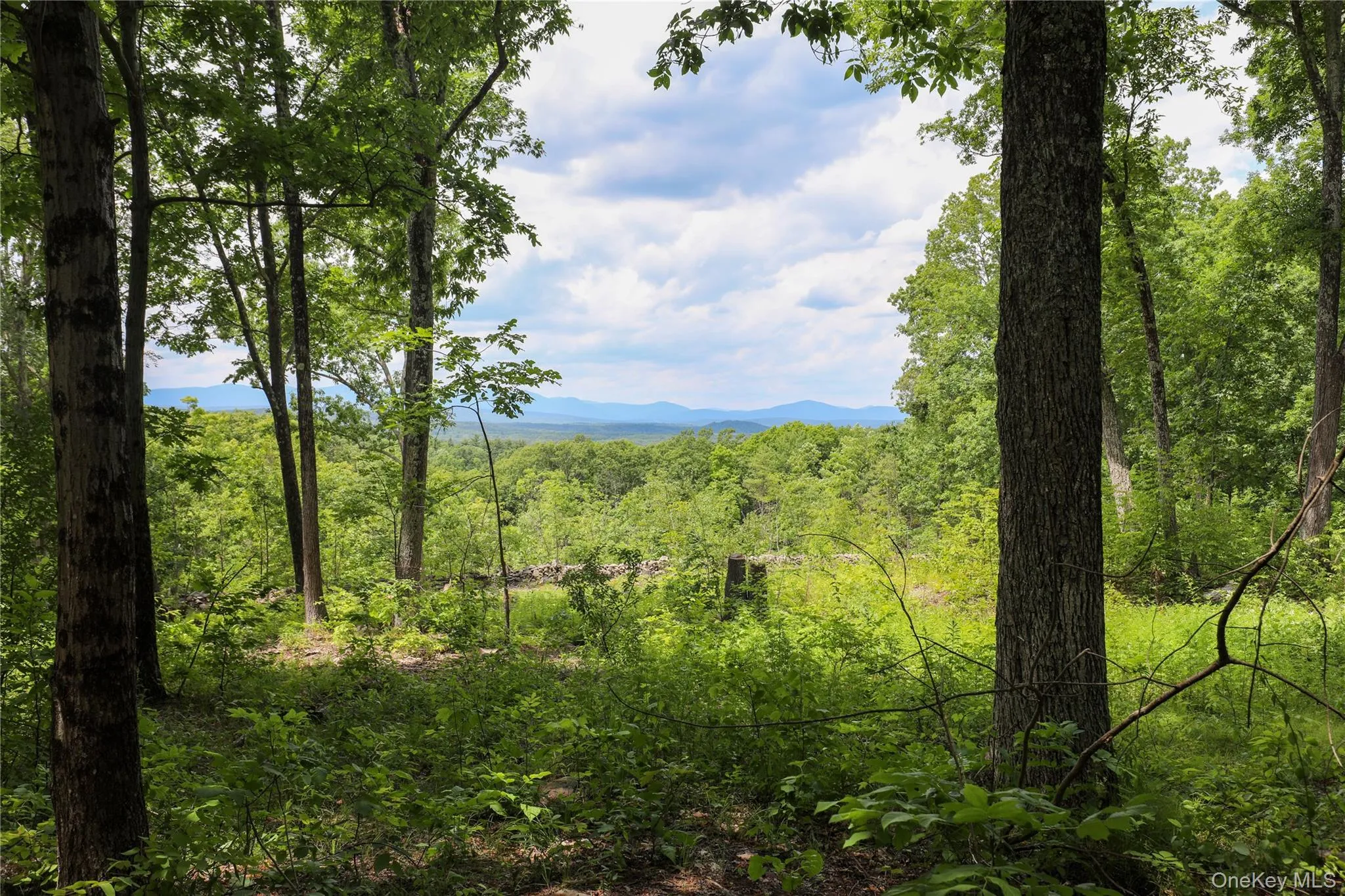 750 Cow Hough Road, New Paltz, NY, ,Land,For Rent,Cow Hough,0,1018465 750 Cow Hough Road, New Paltz, NY, ,Land,For Rent,Cow Hough,0,1018465