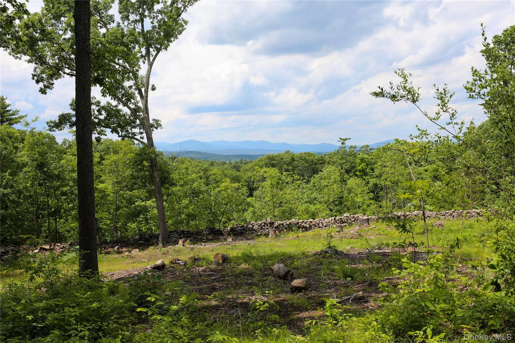 750 Cow Hough Road, New Paltz, NY, ,Land,For Rent,Cow Hough,0,1018465 750 Cow Hough Road, New Paltz, NY, ,Land,For Rent,Cow Hough,0,1018465