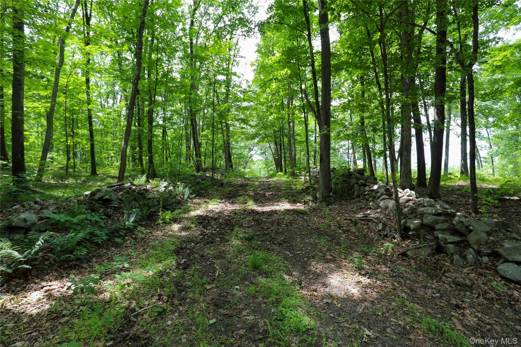 750 Cow Hough Road, New Paltz, NY, ,Land,For Rent,Cow Hough,0,1018465 750 Cow Hough Road, New Paltz, NY, ,Land,For Rent,Cow Hough,0,1018465