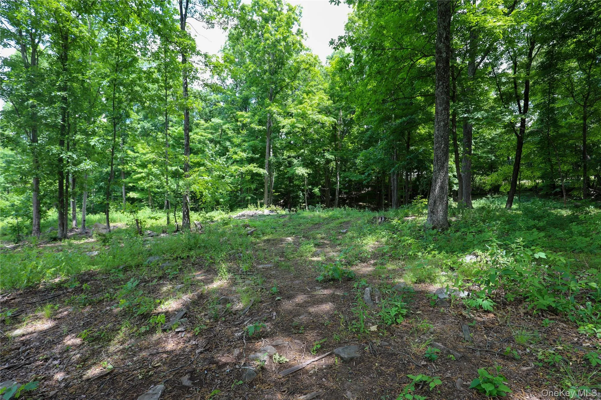 750 Cow Hough Road, New Paltz, NY, ,Land,For Rent,Cow Hough,0,1018465 750 Cow Hough Road, New Paltz, NY, ,Land,For Rent,Cow Hough,0,1018465