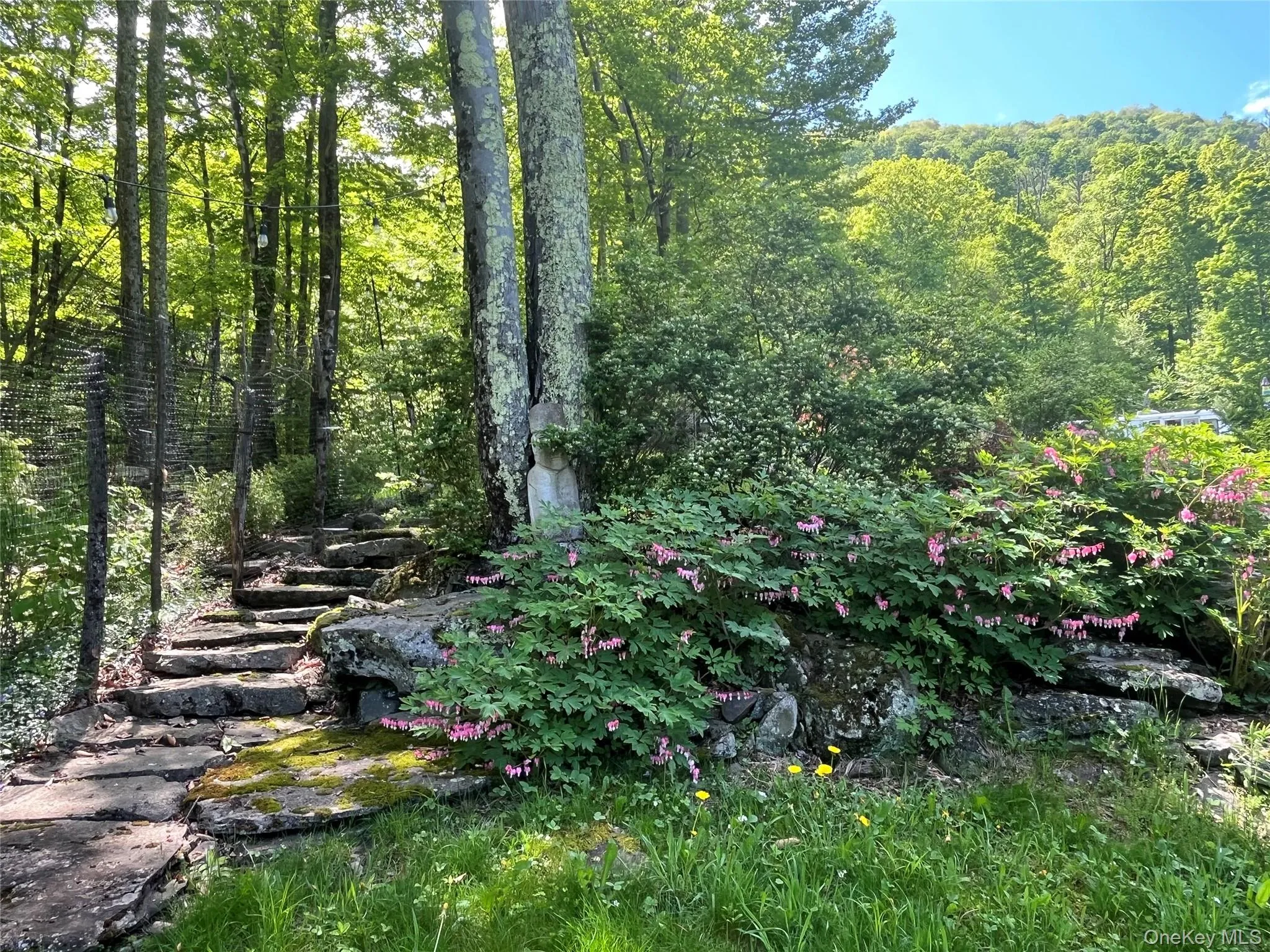 938 Woodland Valley Road, Shandaken, NY, 3 Bedrooms Bedrooms, 4 Rooms Rooms,1 BathroomBathrooms,Residential,For Rent,Woodland Valley,0,1018490 938 Woodland Valley Road, Shandaken, NY, 3 Bedrooms Bedrooms, 4 Rooms Rooms,1 BathroomBathrooms,Residential,For Rent,Woodland Valley,0,1018490