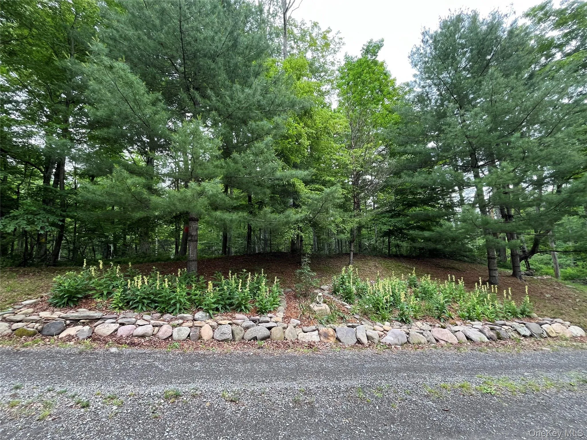 938 Woodland Valley Road, Shandaken, NY, 3 Bedrooms Bedrooms, 4 Rooms Rooms,1 BathroomBathrooms,Residential,For Rent,Woodland Valley,0,1018490 938 Woodland Valley Road, Shandaken, NY, 3 Bedrooms Bedrooms, 4 Rooms Rooms,1 BathroomBathrooms,Residential,For Rent,Woodland Valley,0,1018490
