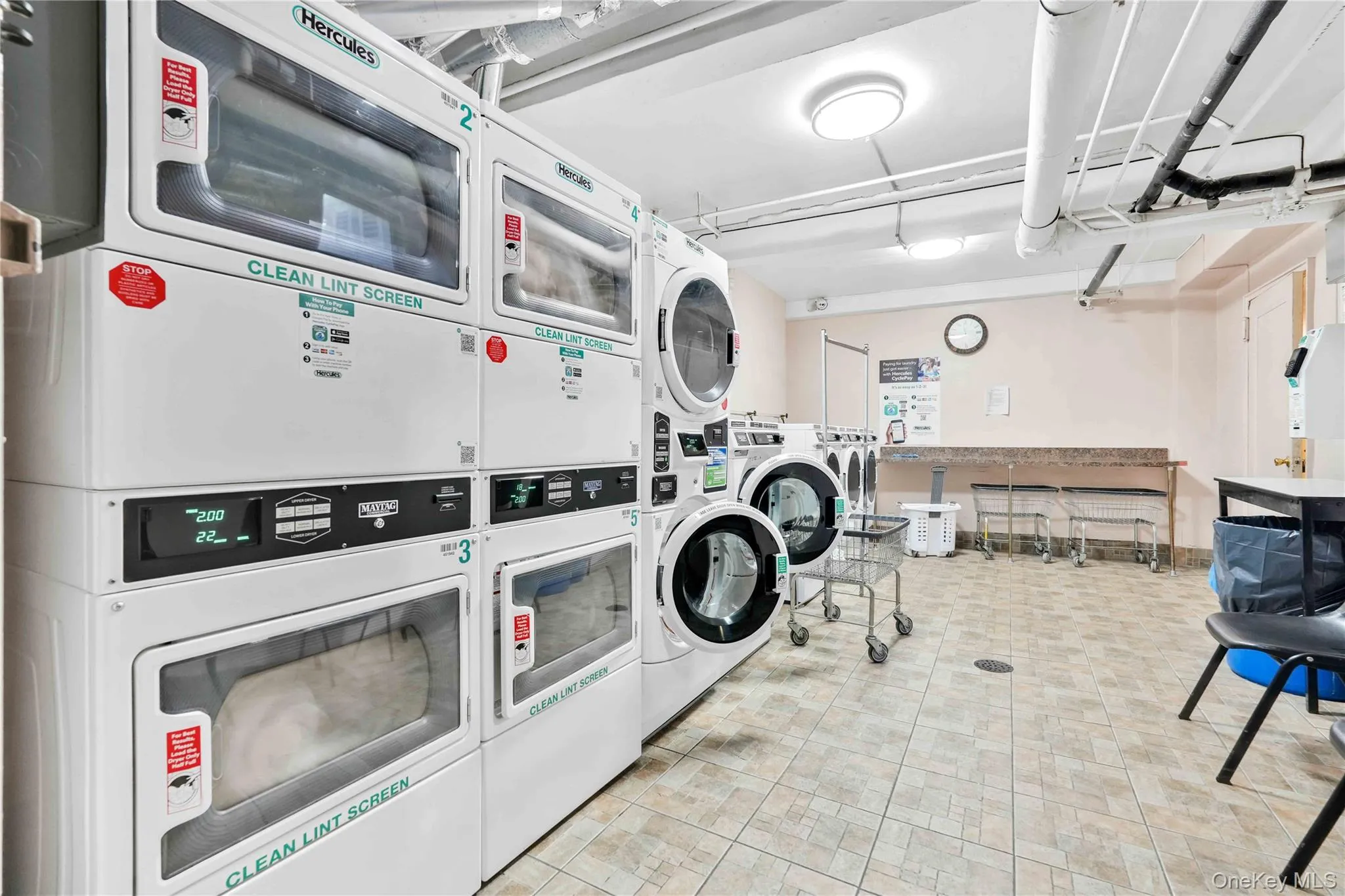 3203 Nostrand Avenue, New York, NY, 1 Bedroom Bedrooms, 3 Rooms Rooms,1 BathroomBathrooms,Residential,For Rent,Nostrand,0,1018516 3203 Nostrand Avenue, New York, NY, 1 Bedroom Bedrooms, 3 Rooms Rooms,1 BathroomBathrooms,Residential,For Rent,Nostrand,0,1018516