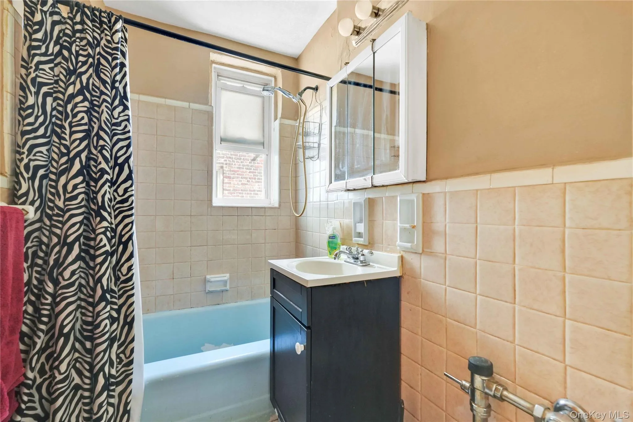 3203 Nostrand Avenue, New York, NY, 1 Bedroom Bedrooms, 3 Rooms Rooms,1 BathroomBathrooms,Residential,For Rent,Nostrand,0,1018516 3203 Nostrand Avenue, New York, NY, 1 Bedroom Bedrooms, 3 Rooms Rooms,1 BathroomBathrooms,Residential,For Rent,Nostrand,0,1018516