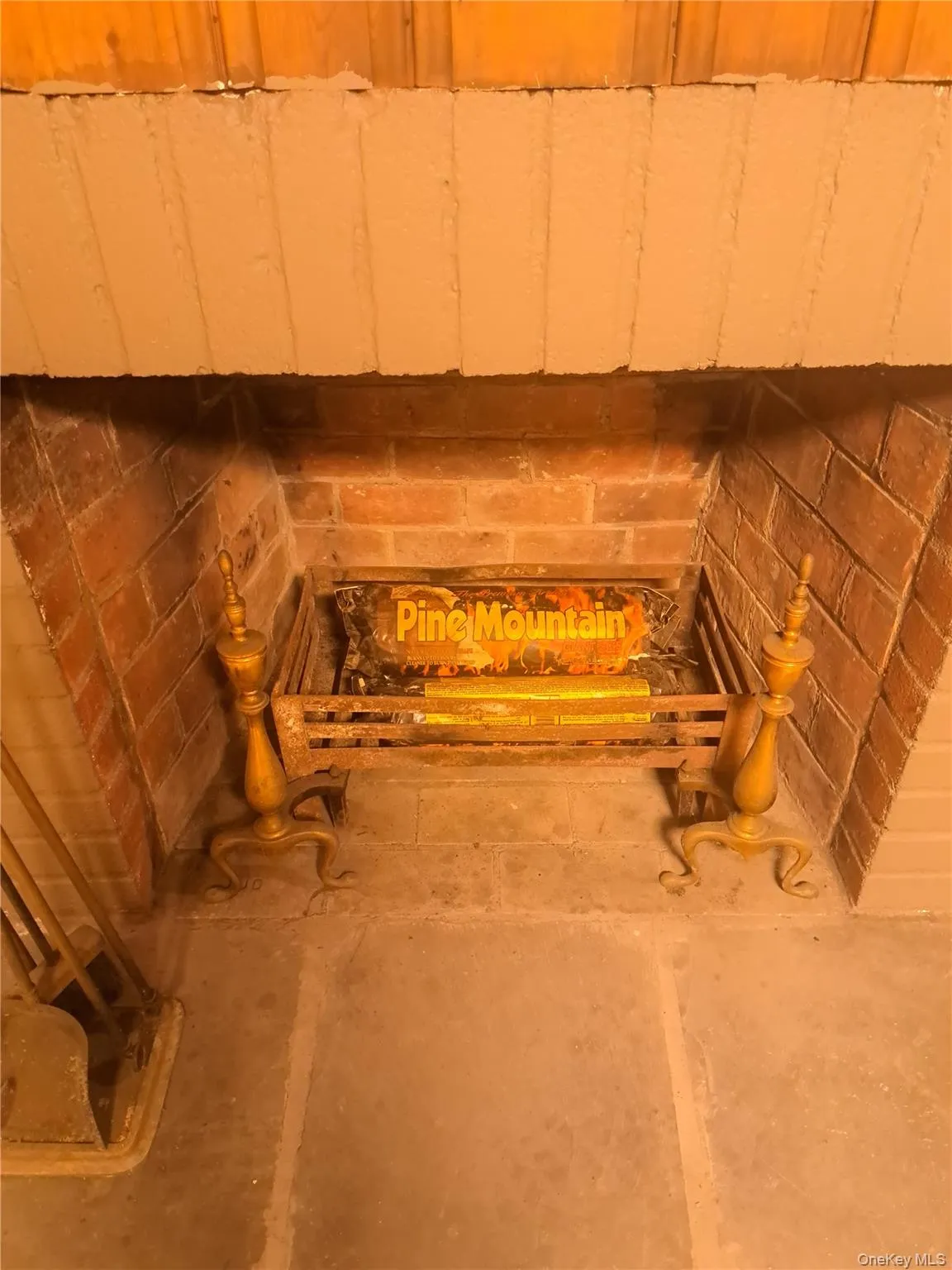 Basement Fireplace Basement Fireplace