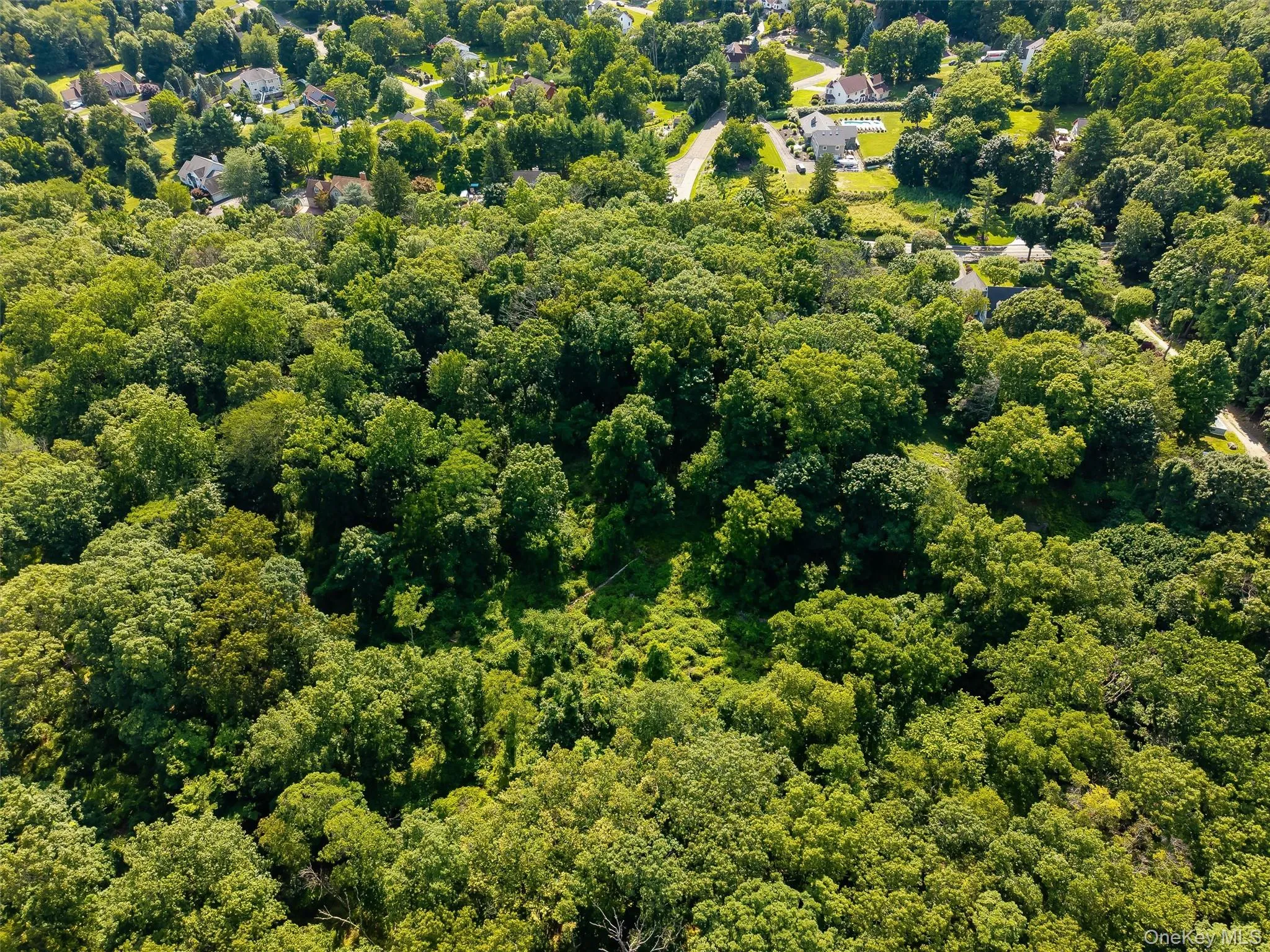 86 Buckberg Road, Stony Point, NY, ,Land,For Rent,Buckberg,0,1018524 86 Buckberg Road, Stony Point, NY, ,Land,For Rent,Buckberg,0,1018524