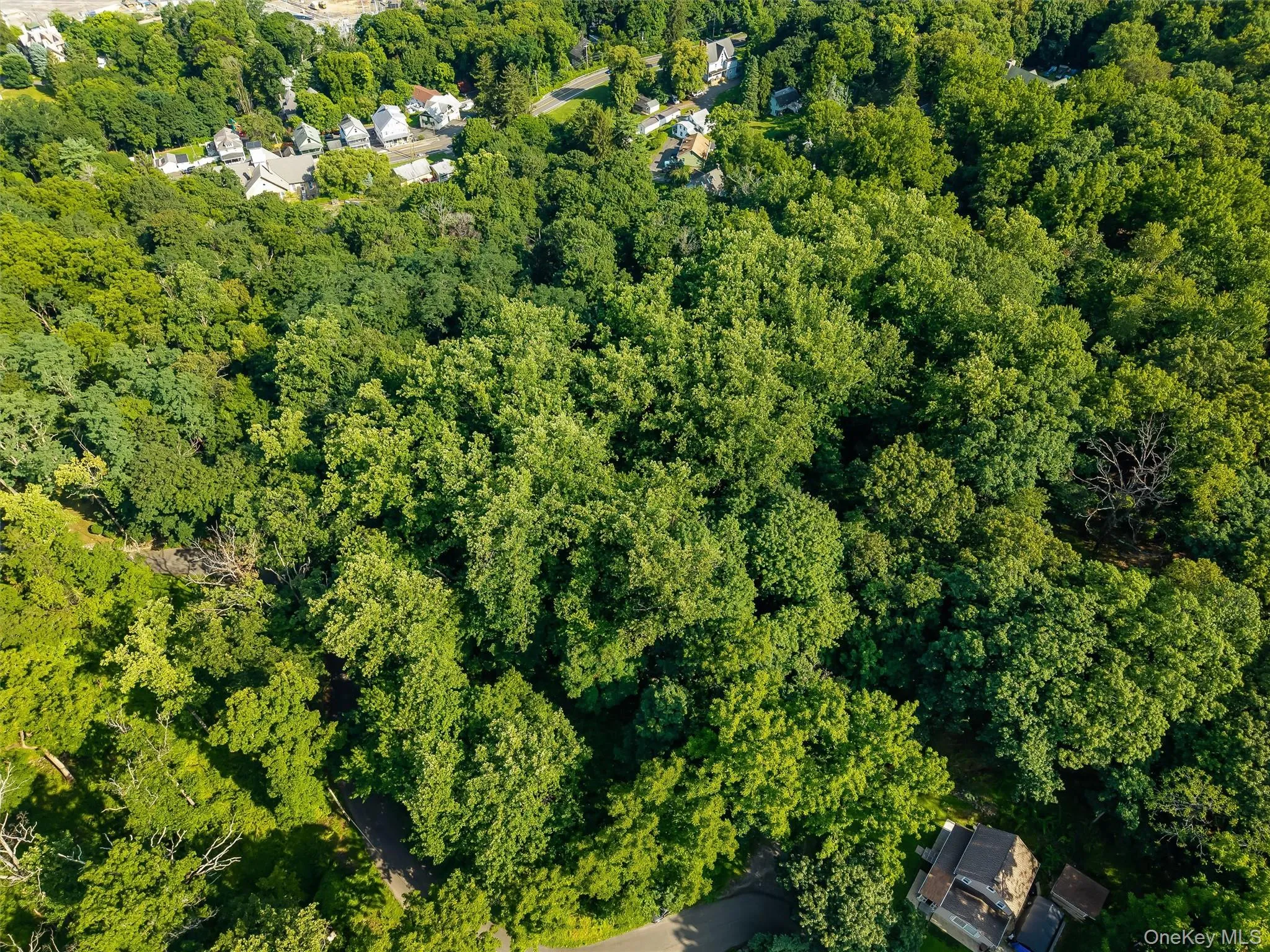 81 Rosetown Road, Stony Point, NY, ,Land,For Rent,Rosetown,0,1018534 81 Rosetown Road, Stony Point, NY, ,Land,For Rent,Rosetown,0,1018534