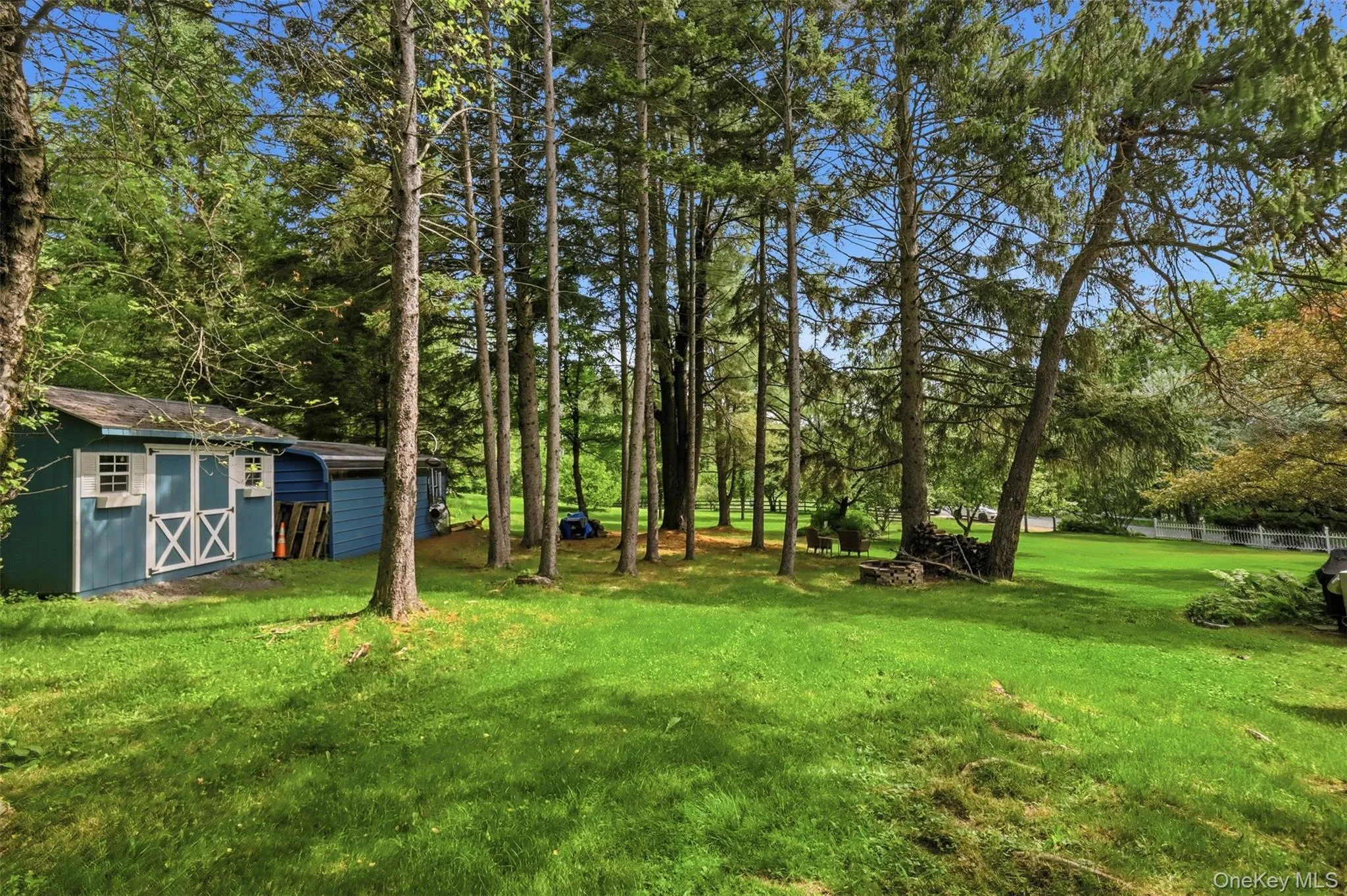 Mature trees, shed and grassy yard and 12x12 shed Mature trees, shed and grassy yard and 12x12 shed