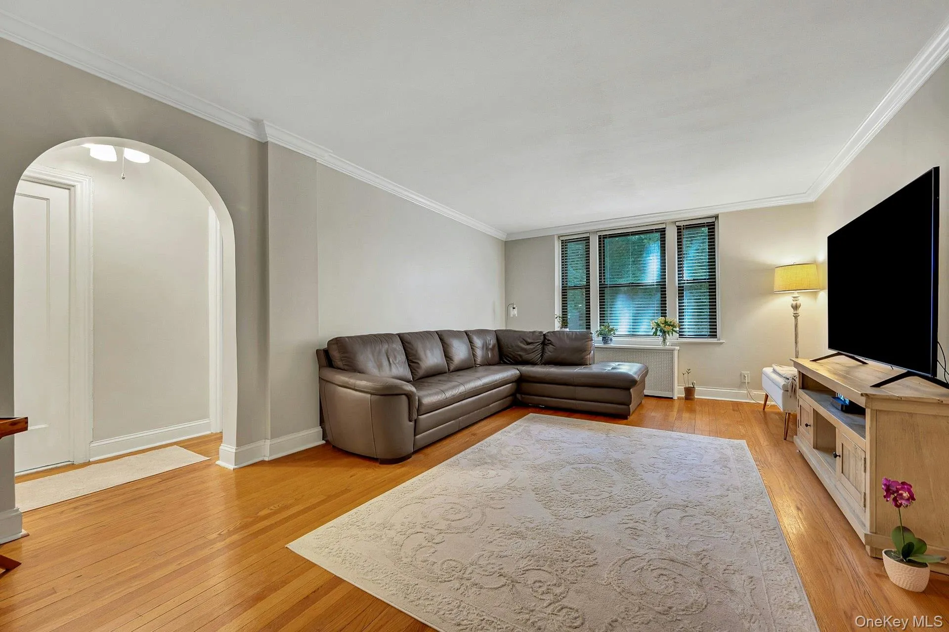 Living room with crown molding Living room with crown molding