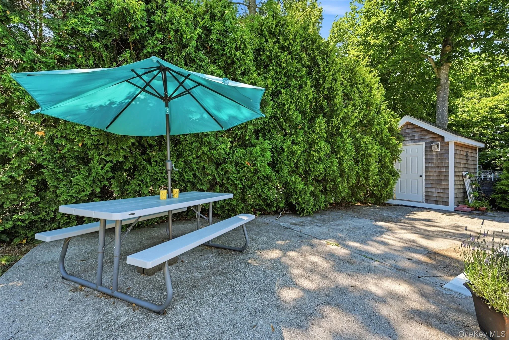 26 Hickory Road, Brookhaven, NY, 4 Bedrooms Bedrooms, 6 Rooms Rooms,1 BathroomBathrooms,Residential,For Rent,Hickory,0,KEY1018557 26 Hickory Road, Brookhaven, NY, 4 Bedrooms Bedrooms, 6 Rooms Rooms,1 BathroomBathrooms,Residential,For Rent,Hickory,0,KEY1018557