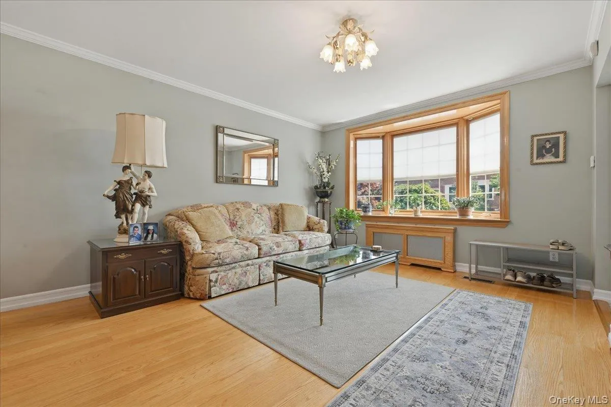Large Living room Large Living room