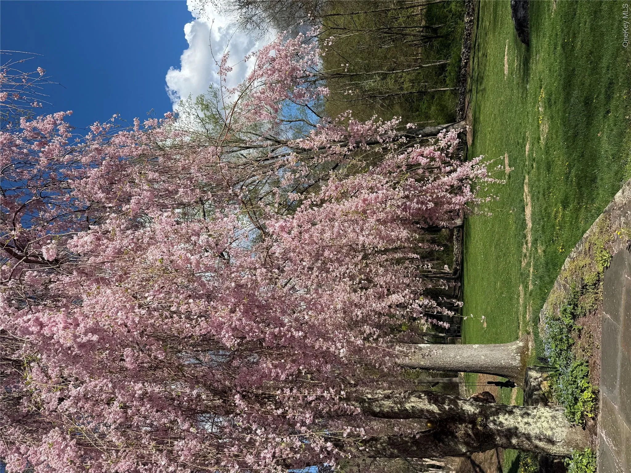 10 Apple Tree Lane, Pound Ridge, NY, 4 Bedrooms Bedrooms, 9 Rooms Rooms,3 BathroomsBathrooms,Residential,For Rent,Apple Tree,0,1018569 10 Apple Tree Lane, Pound Ridge, NY, 4 Bedrooms Bedrooms, 9 Rooms Rooms,3 BathroomsBathrooms,Residential,For Rent,Apple Tree,0,1018569