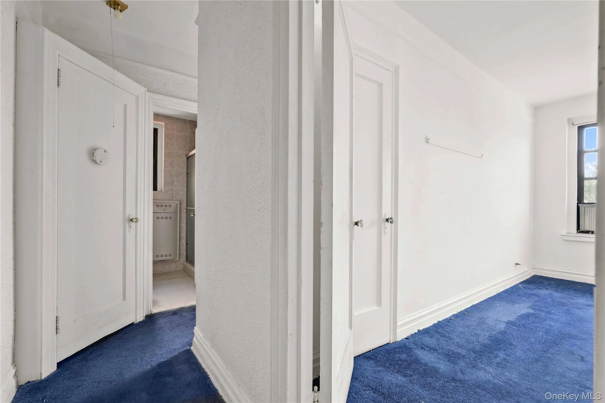 109-14 Ascan Avenue, New York, NY, 2 Bedrooms Bedrooms, 3 Rooms Rooms,1 BathroomBathrooms,Residential,For Rent,Ascan,0,1018611 109-14 Ascan Avenue, New York, NY, 2 Bedrooms Bedrooms, 3 Rooms Rooms,1 BathroomBathrooms,Residential,For Rent,Ascan,0,1018611