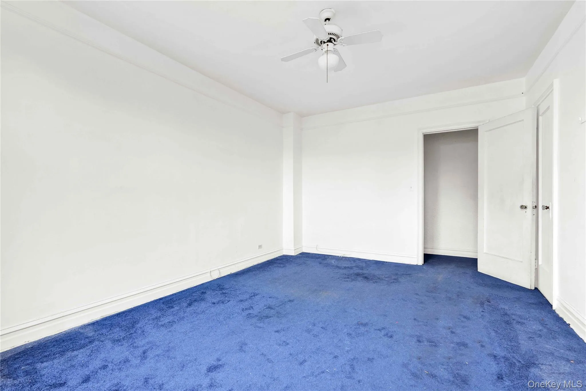 109-14 Ascan Avenue, New York, NY, 2 Bedrooms Bedrooms, 3 Rooms Rooms,1 BathroomBathrooms,Residential,For Rent,Ascan,0,1018611 109-14 Ascan Avenue, New York, NY, 2 Bedrooms Bedrooms, 3 Rooms Rooms,1 BathroomBathrooms,Residential,For Rent,Ascan,0,1018611