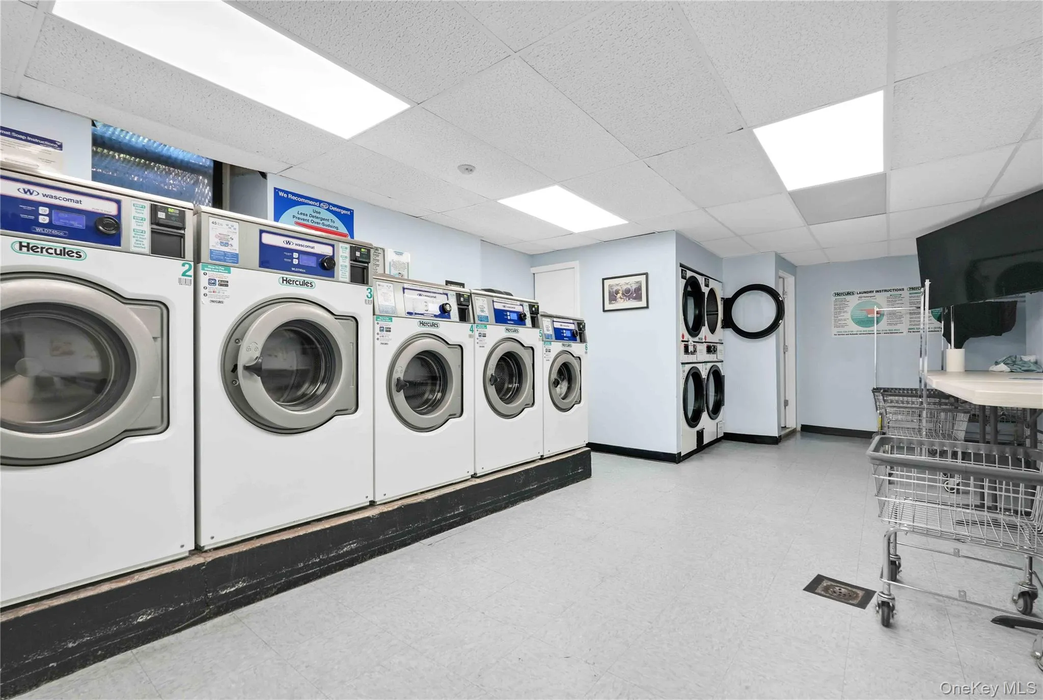 109-14 Ascan Avenue, New York, NY, 2 Bedrooms Bedrooms, 3 Rooms Rooms,1 BathroomBathrooms,Residential,For Rent,Ascan,0,1018611 109-14 Ascan Avenue, New York, NY, 2 Bedrooms Bedrooms, 3 Rooms Rooms,1 BathroomBathrooms,Residential,For Rent,Ascan,0,1018611