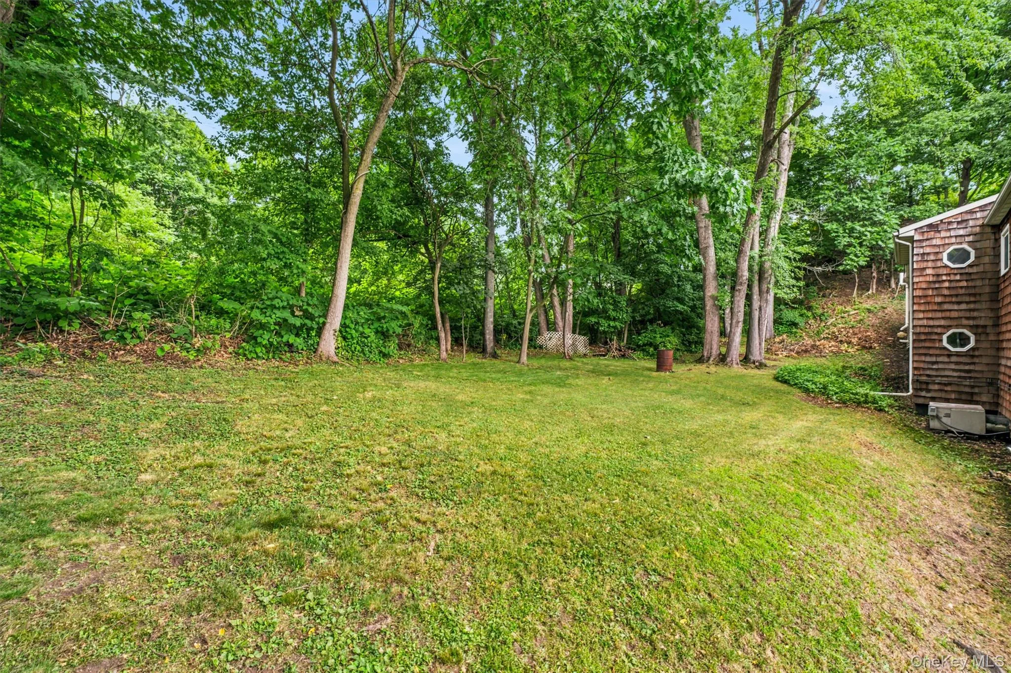 backyard backyard