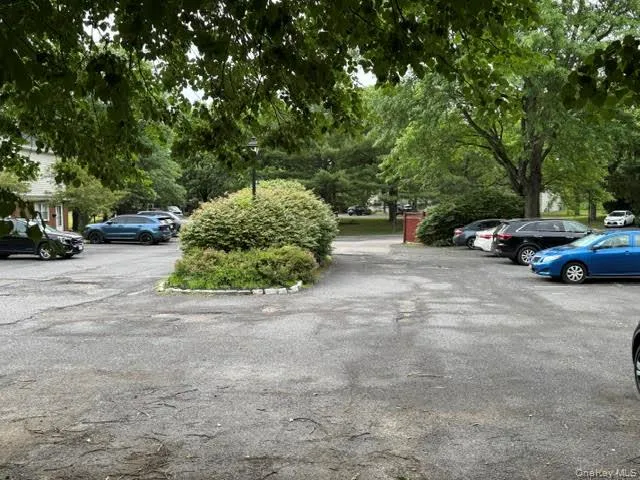Designated 2 parking spots for the subject unit. Designated 2 parking spots for the subject unit.