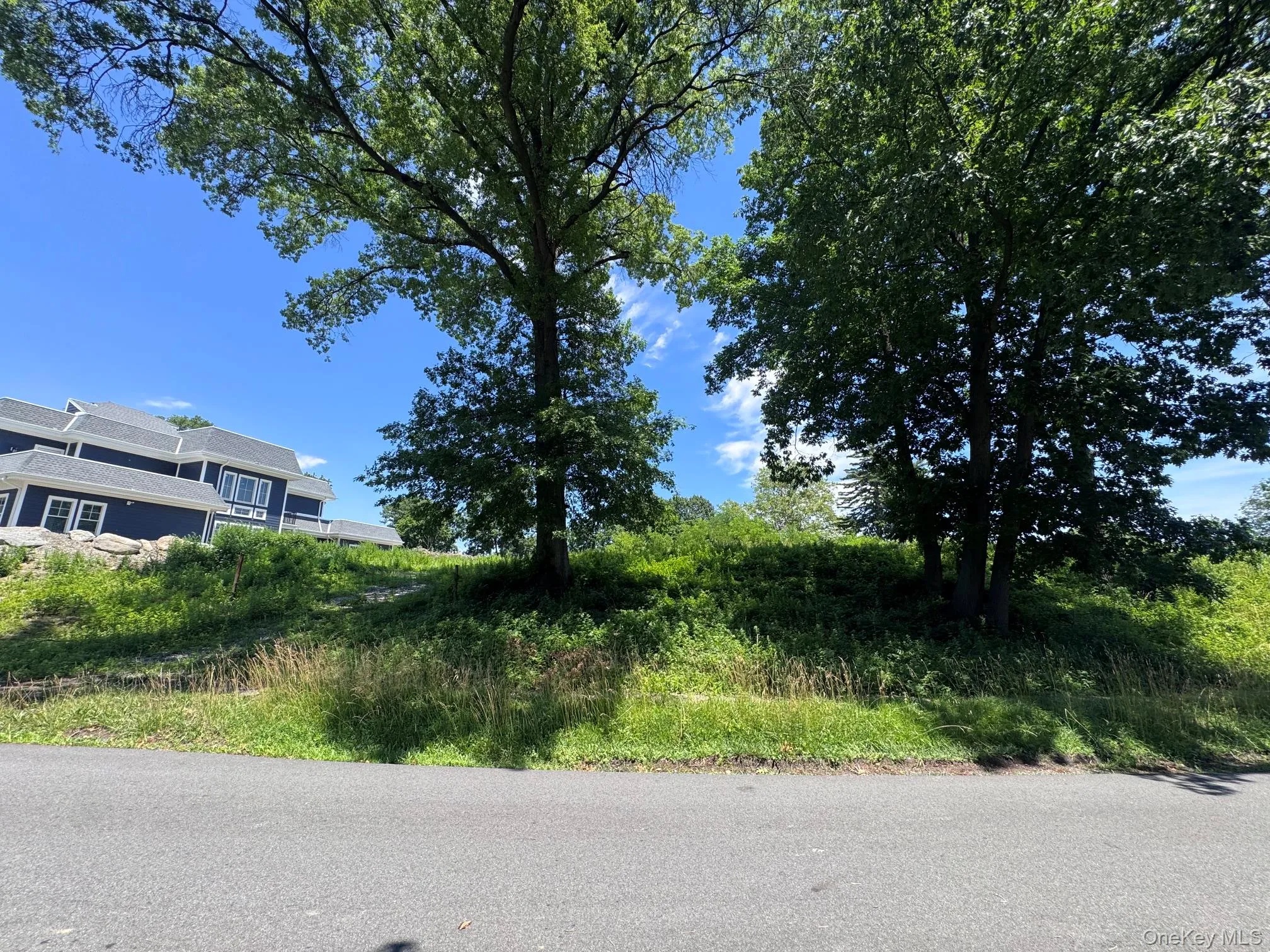 16 The Boulevard, New Rochelle, NY, ,Land,For Rent,The,0,1018681 16 The Boulevard, New Rochelle, NY, ,Land,For Rent,The,0,1018681