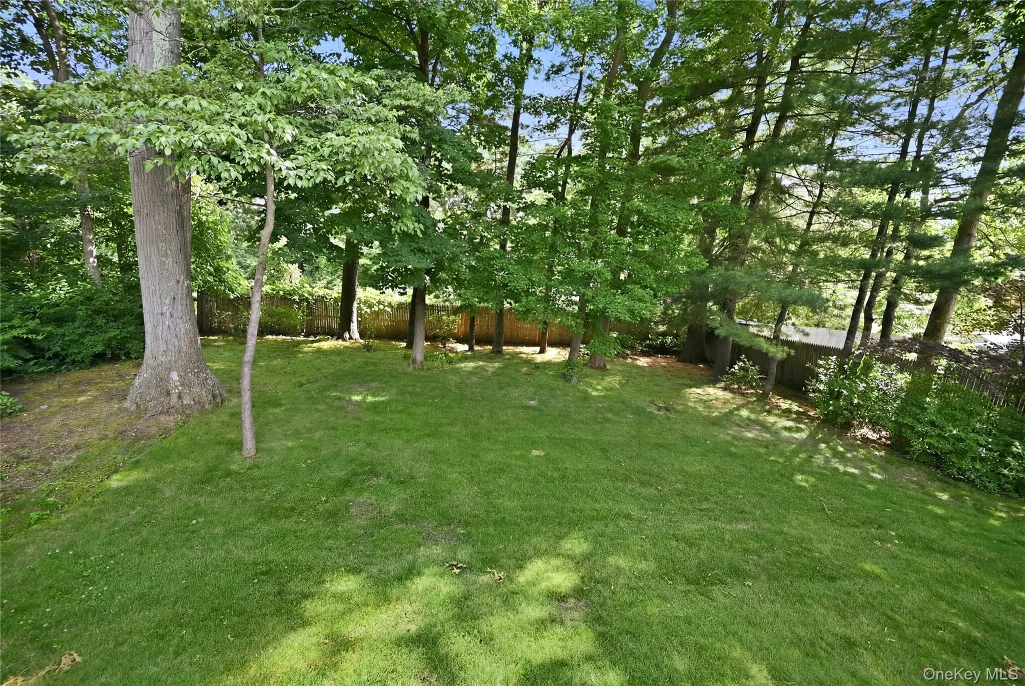 back yard back yard
