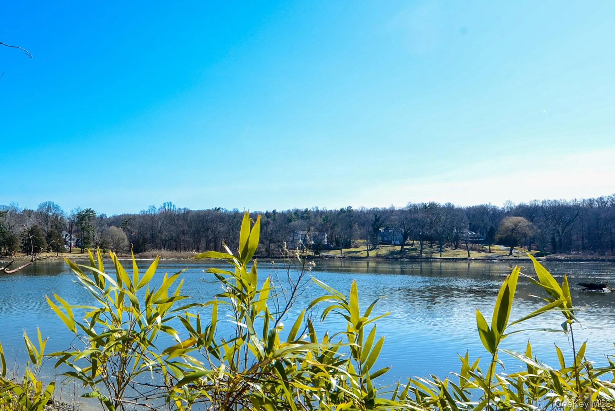 1 Pond Road, Glen Cove, NY, 5 Bedrooms Bedrooms, 13 Rooms Rooms,6 BathroomsBathrooms,Residential Lease,For Rent,Pond,0,KEY1018694 1 Pond Road, Glen Cove, NY, 5 Bedrooms Bedrooms, 13 Rooms Rooms,6 BathroomsBathrooms,Residential Lease,For Rent,Pond,0,KEY1018694