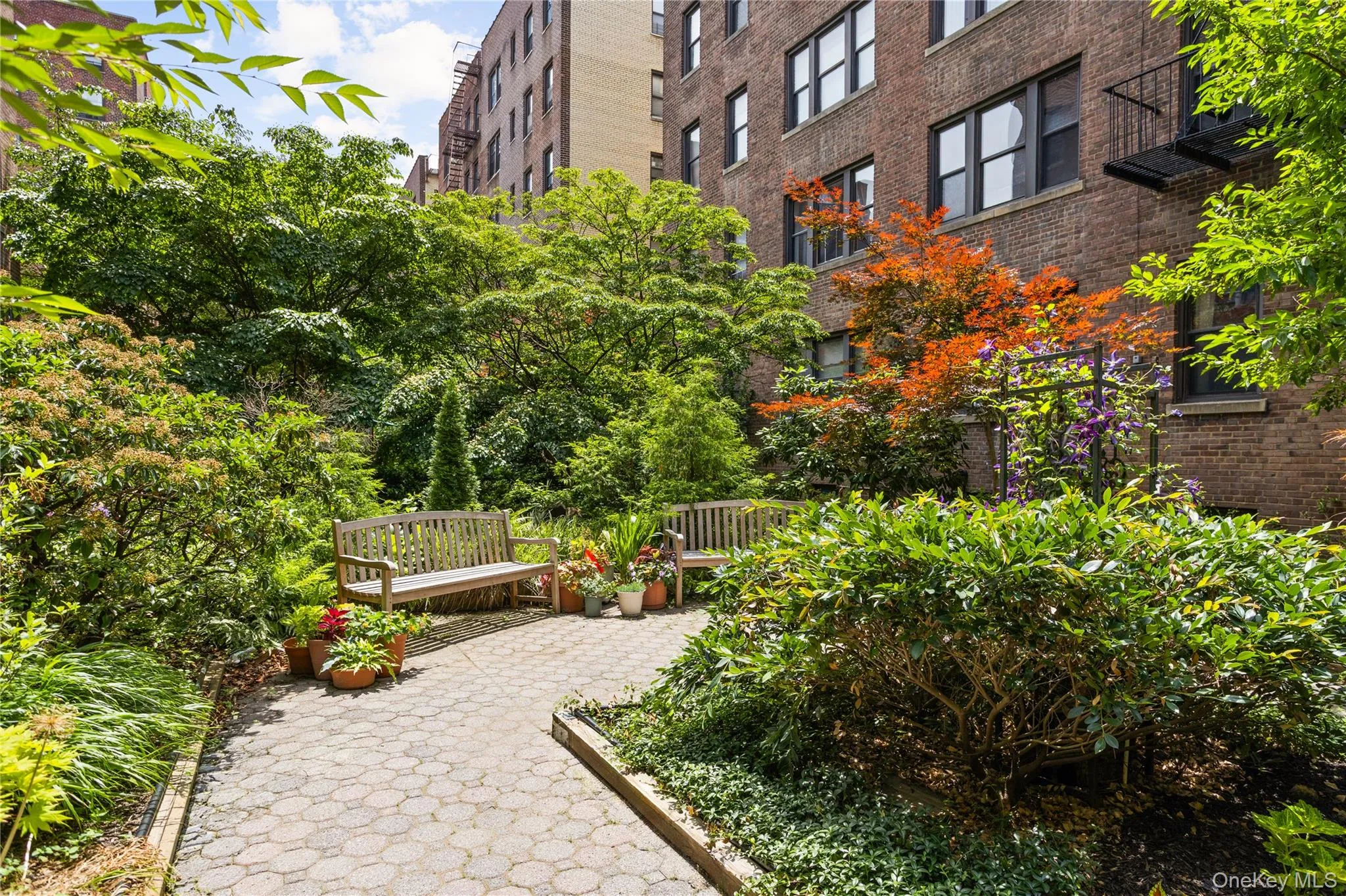84-12 35th Ave, New York, NY, 1 Bedroom Bedrooms, 3 Rooms Rooms,1 BathroomBathrooms,Residential,For Rent,35th Ave,0,KEY1018711 84-12 35th Ave, New York, NY, 1 Bedroom Bedrooms, 3 Rooms Rooms,1 BathroomBathrooms,Residential,For Rent,35th Ave,0,KEY1018711