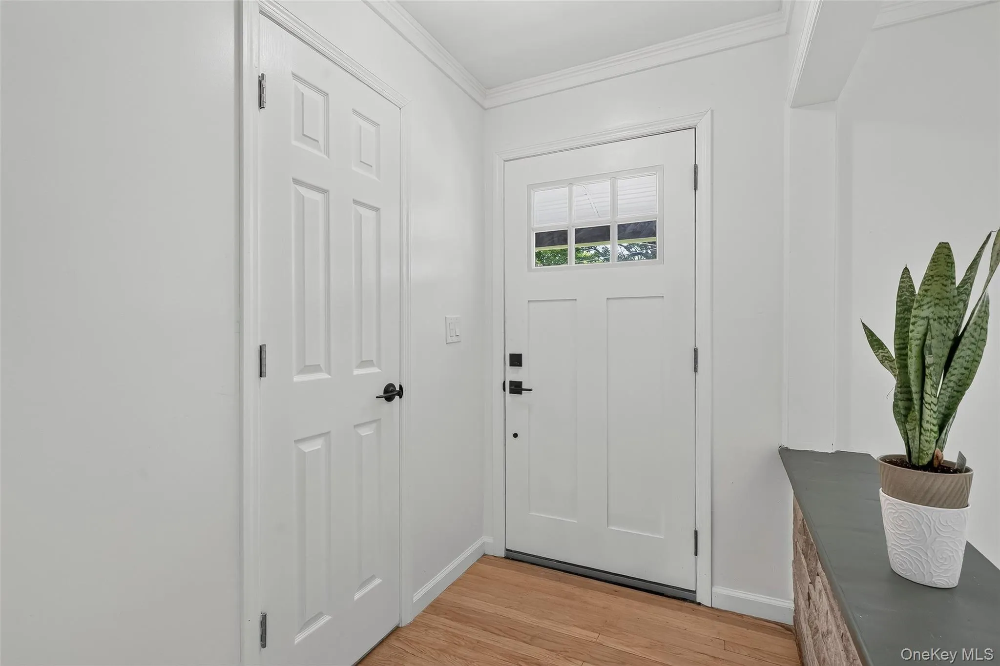 19 Randall Terrace, Middletown, NY, 4 Bedrooms Bedrooms, 9 Rooms Rooms,2 BathroomsBathrooms,Residential,For Rent,Randall,0,1018755 19 Randall Terrace, Middletown, NY, 4 Bedrooms Bedrooms, 9 Rooms Rooms,2 BathroomsBathrooms,Residential,For Rent,Randall,0,1018755