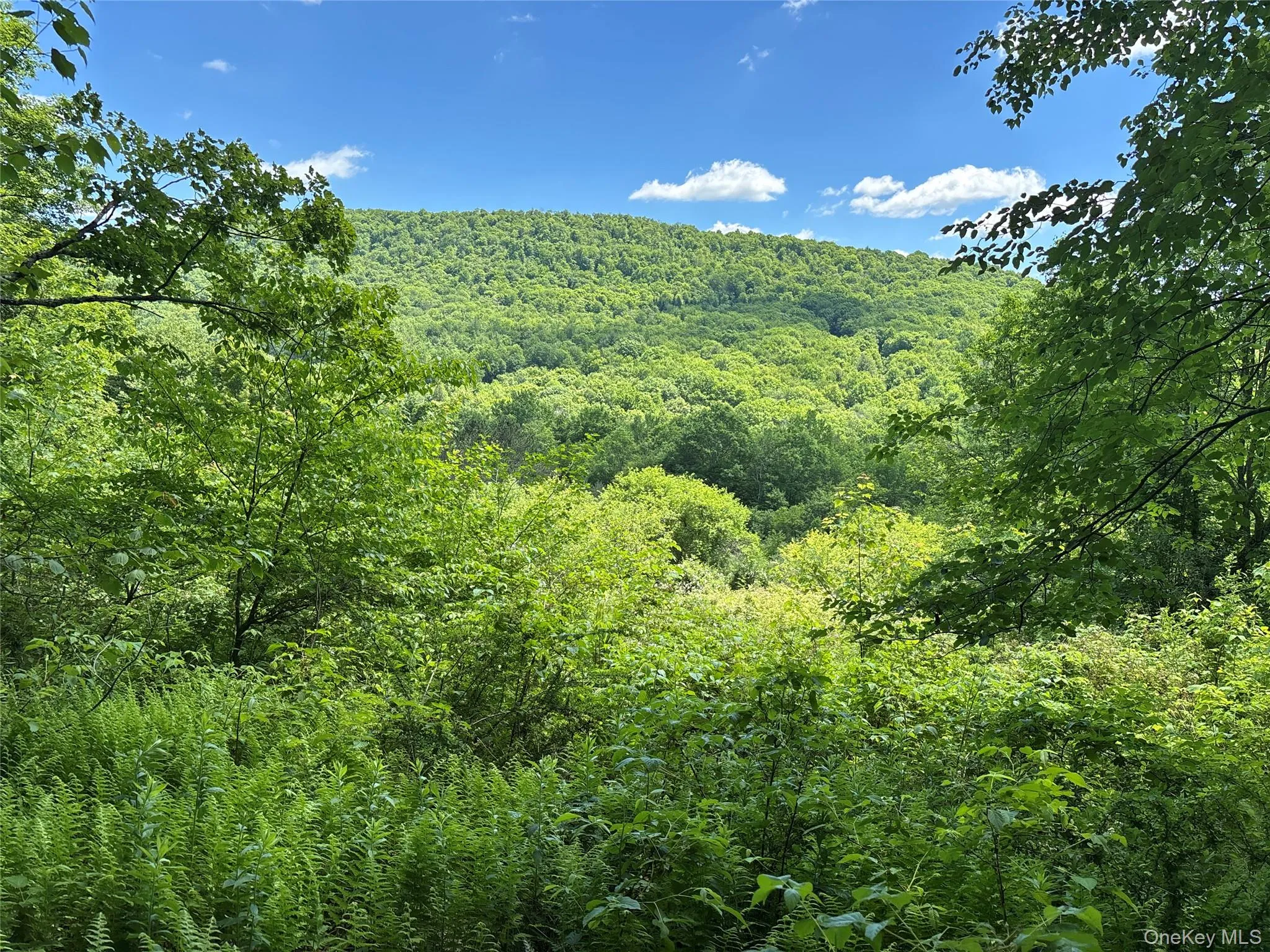 2636 Murphy Hill Road, Andes, NY, 2 Bedrooms Bedrooms, 4 Rooms Rooms,Residential,For Rent,Murphy Hill,0,1018789 2636 Murphy Hill Road, Andes, NY, 2 Bedrooms Bedrooms, 4 Rooms Rooms,Residential,For Rent,Murphy Hill,0,1018789