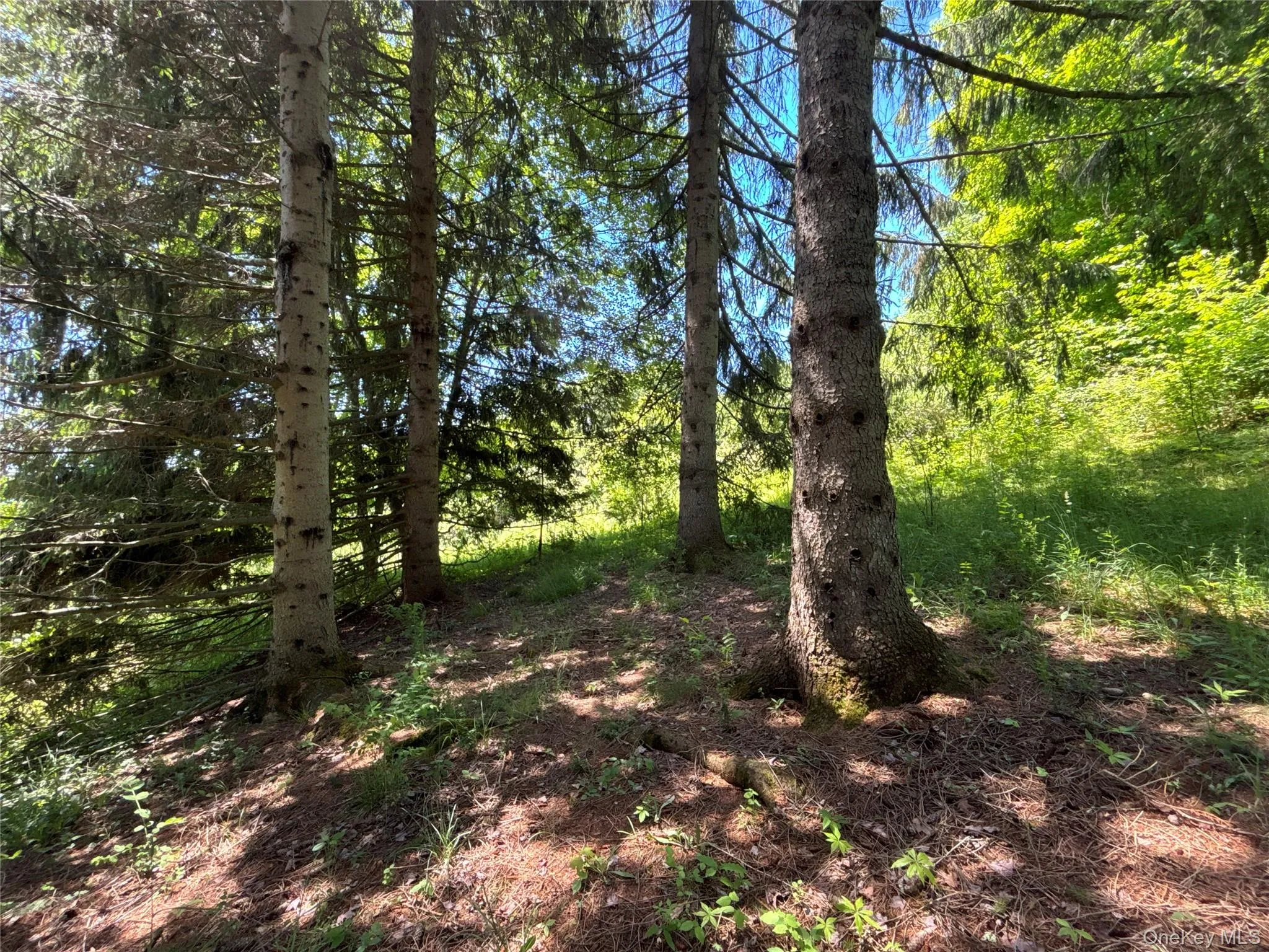 2636 Murphy Hill Road, Andes, NY, 2 Bedrooms Bedrooms, 4 Rooms Rooms,Residential,For Rent,Murphy Hill,0,1018789 2636 Murphy Hill Road, Andes, NY, 2 Bedrooms Bedrooms, 4 Rooms Rooms,Residential,For Rent,Murphy Hill,0,1018789