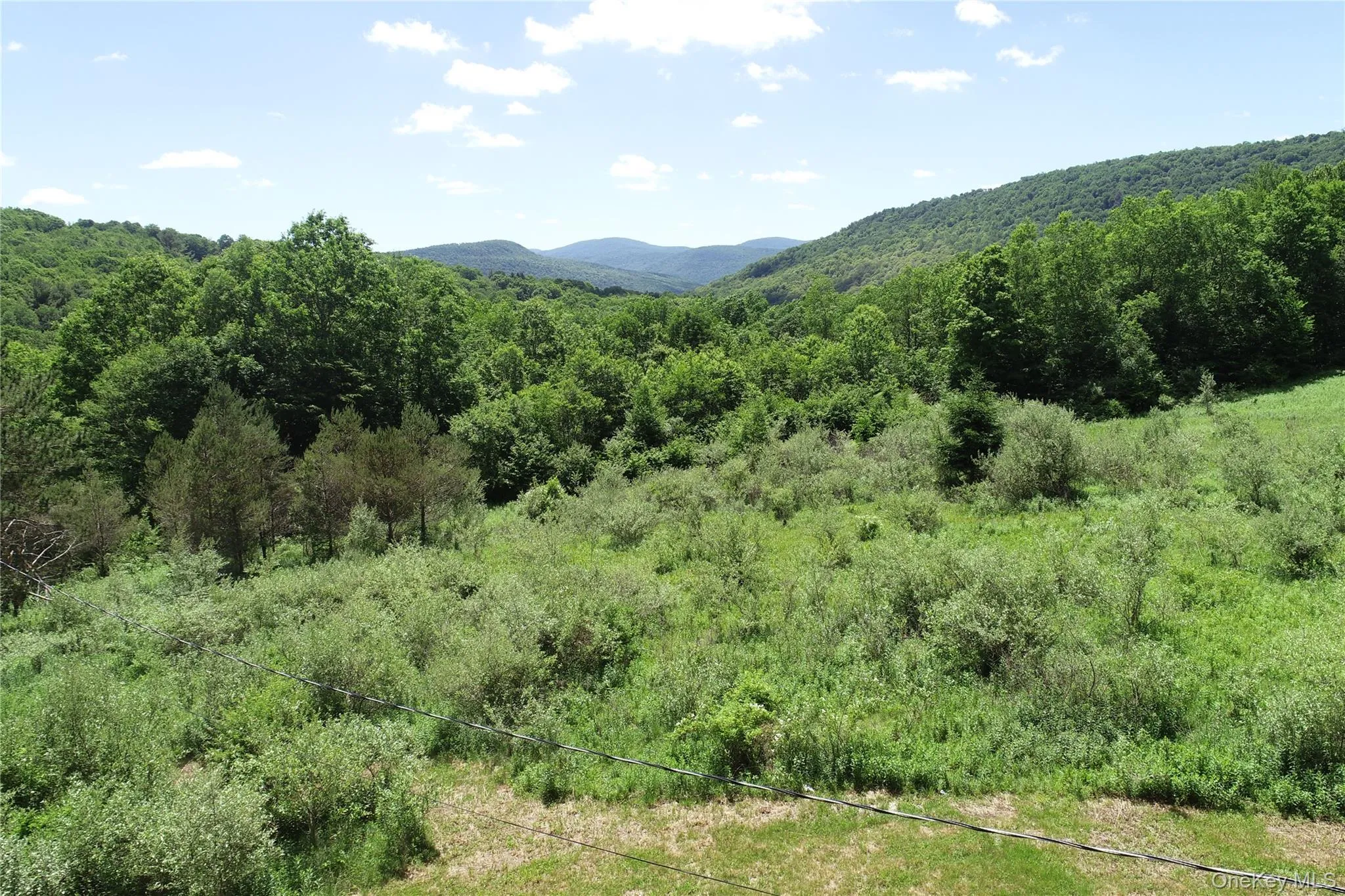 2636 Murphy Hill Road, Andes, NY, 2 Bedrooms Bedrooms, 4 Rooms Rooms,Residential,For Rent,Murphy Hill,0,1018789 2636 Murphy Hill Road, Andes, NY, 2 Bedrooms Bedrooms, 4 Rooms Rooms,Residential,For Rent,Murphy Hill,0,1018789