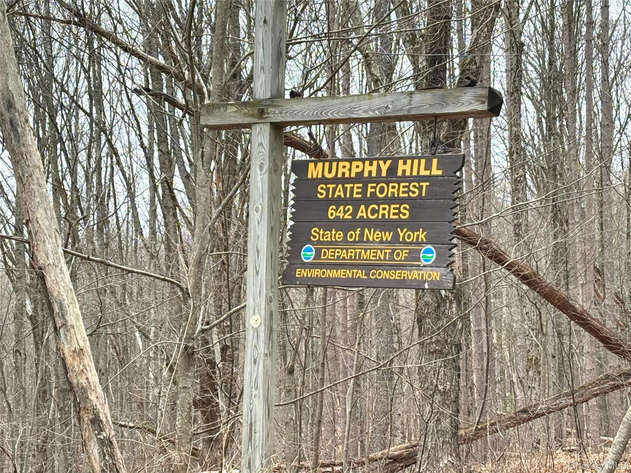 2636 Murphy Hill Road, Andes, NY, 2 Bedrooms Bedrooms, 4 Rooms Rooms,Residential,For Rent,Murphy Hill,0,1018789 2636 Murphy Hill Road, Andes, NY, 2 Bedrooms Bedrooms, 4 Rooms Rooms,Residential,For Rent,Murphy Hill,0,1018789