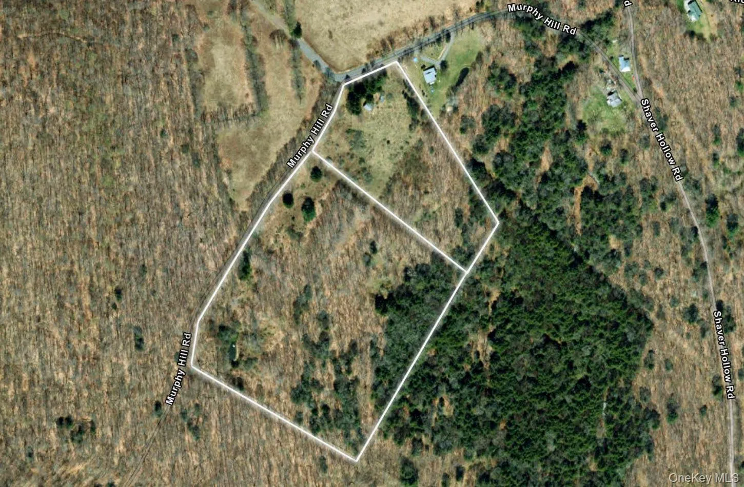 2636 Murphy Hill Road, Andes, NY, 2 Bedrooms Bedrooms, 4 Rooms Rooms,Residential,For Rent,Murphy Hill,0,1018789 2636 Murphy Hill Road, Andes, NY, 2 Bedrooms Bedrooms, 4 Rooms Rooms,Residential,For Rent,Murphy Hill,0,1018789