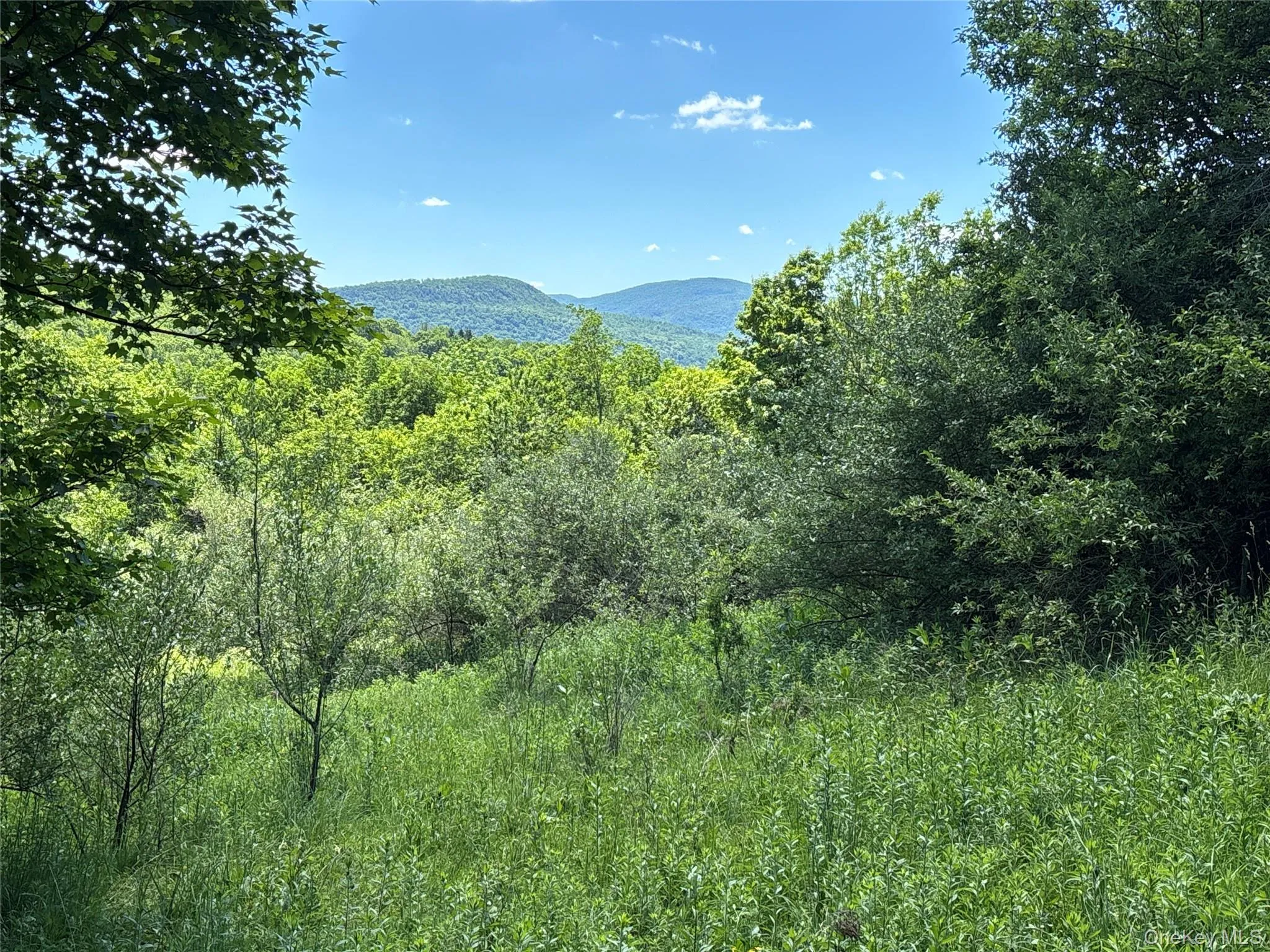 2636 Murphy Hill Road, Andes, NY, 2 Bedrooms Bedrooms, 4 Rooms Rooms,Residential,For Rent,Murphy Hill,0,1018789 2636 Murphy Hill Road, Andes, NY, 2 Bedrooms Bedrooms, 4 Rooms Rooms,Residential,For Rent,Murphy Hill,0,1018789