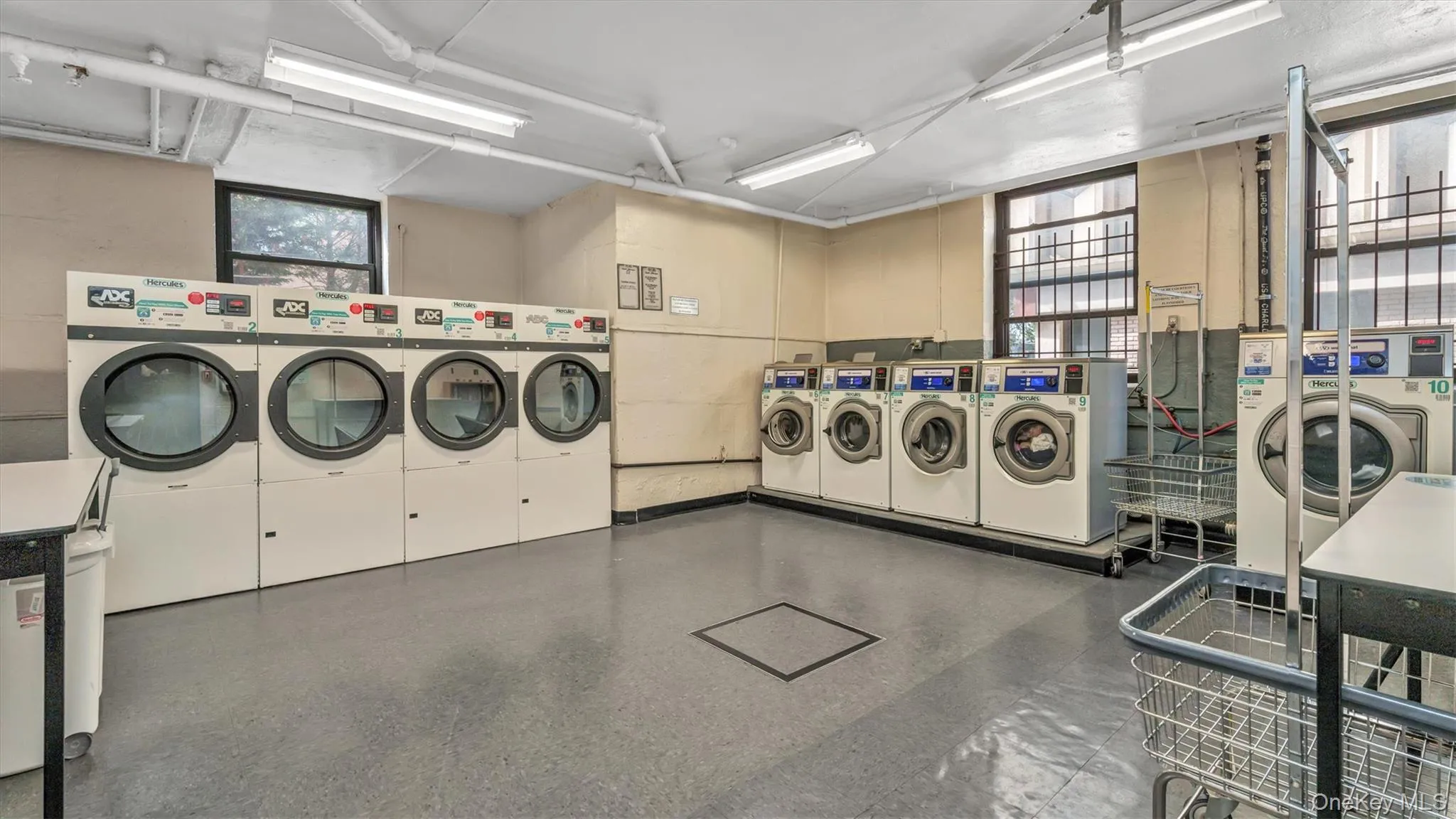 30 Grace Avenue, North Hempstead, NY, 1 Bedroom Bedrooms, 3 Rooms Rooms,1 BathroomBathrooms,Residential,For Rent,Grace,0,KEY1018790 30 Grace Avenue, North Hempstead, NY, 1 Bedroom Bedrooms, 3 Rooms Rooms,1 BathroomBathrooms,Residential,For Rent,Grace,0,KEY1018790