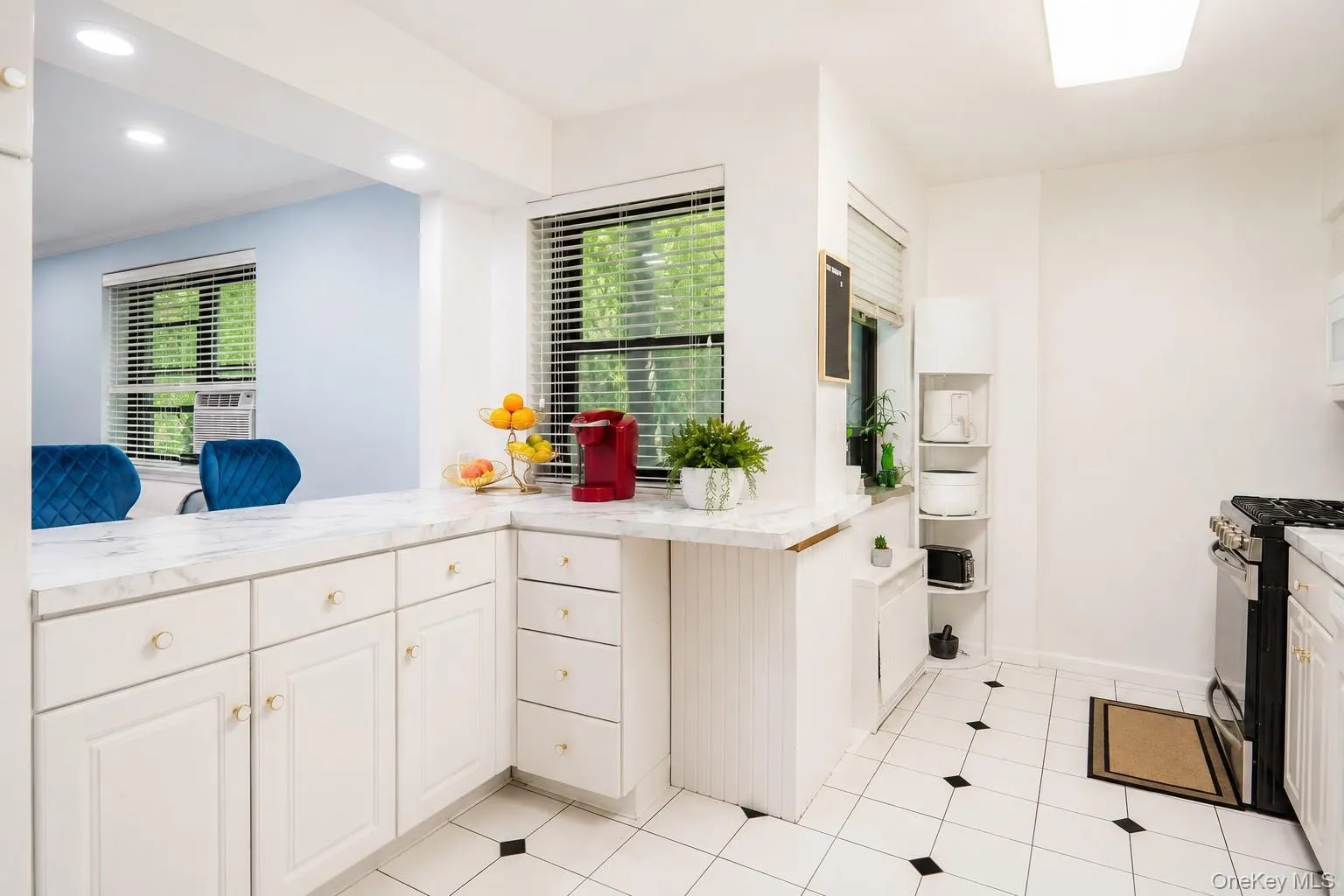 30 Grace Avenue, North Hempstead, NY, 1 Bedroom Bedrooms, 3 Rooms Rooms,1 BathroomBathrooms,Residential,For Rent,Grace,0,KEY1018790 30 Grace Avenue, North Hempstead, NY, 1 Bedroom Bedrooms, 3 Rooms Rooms,1 BathroomBathrooms,Residential,For Rent,Grace,0,KEY1018790