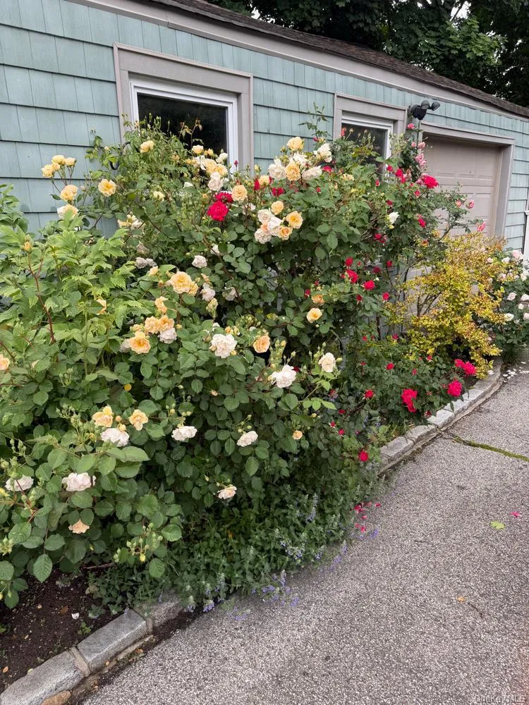 55 Pershing Avenue, Oyster Bay, NY, 3 Bedrooms Bedrooms, 7 Rooms Rooms,1 BathroomBathrooms,Residential,For Rent,Pershing,0,1018849 55 Pershing Avenue, Oyster Bay, NY, 3 Bedrooms Bedrooms, 7 Rooms Rooms,1 BathroomBathrooms,Residential,For Rent,Pershing,0,1018849