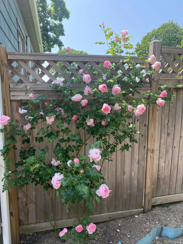 55 Pershing Avenue, Oyster Bay, NY, 3 Bedrooms Bedrooms, 7 Rooms Rooms,1 BathroomBathrooms,Residential,For Rent,Pershing,0,1018849 55 Pershing Avenue, Oyster Bay, NY, 3 Bedrooms Bedrooms, 7 Rooms Rooms,1 BathroomBathrooms,Residential,For Rent,Pershing,0,1018849