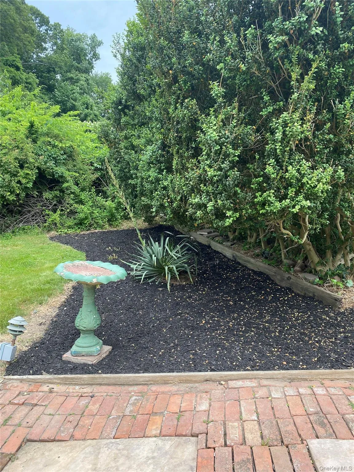 Brick patio border with dark mulch bed, featuring established plantings and mature perimeter foliage Brick patio border with dark mulch bed, featuring established plantings and mature perimeter foliage
