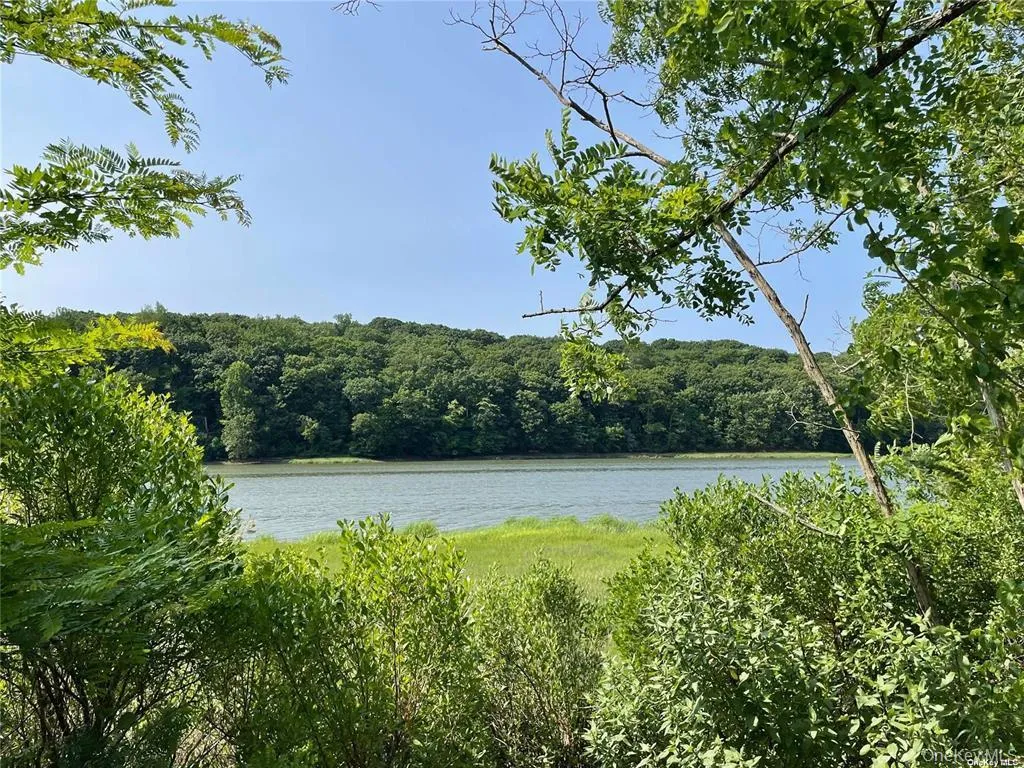 Serene waterfront setting featuring lush green foliage framing a body of water Serene waterfront setting featuring lush green foliage framing a body of water