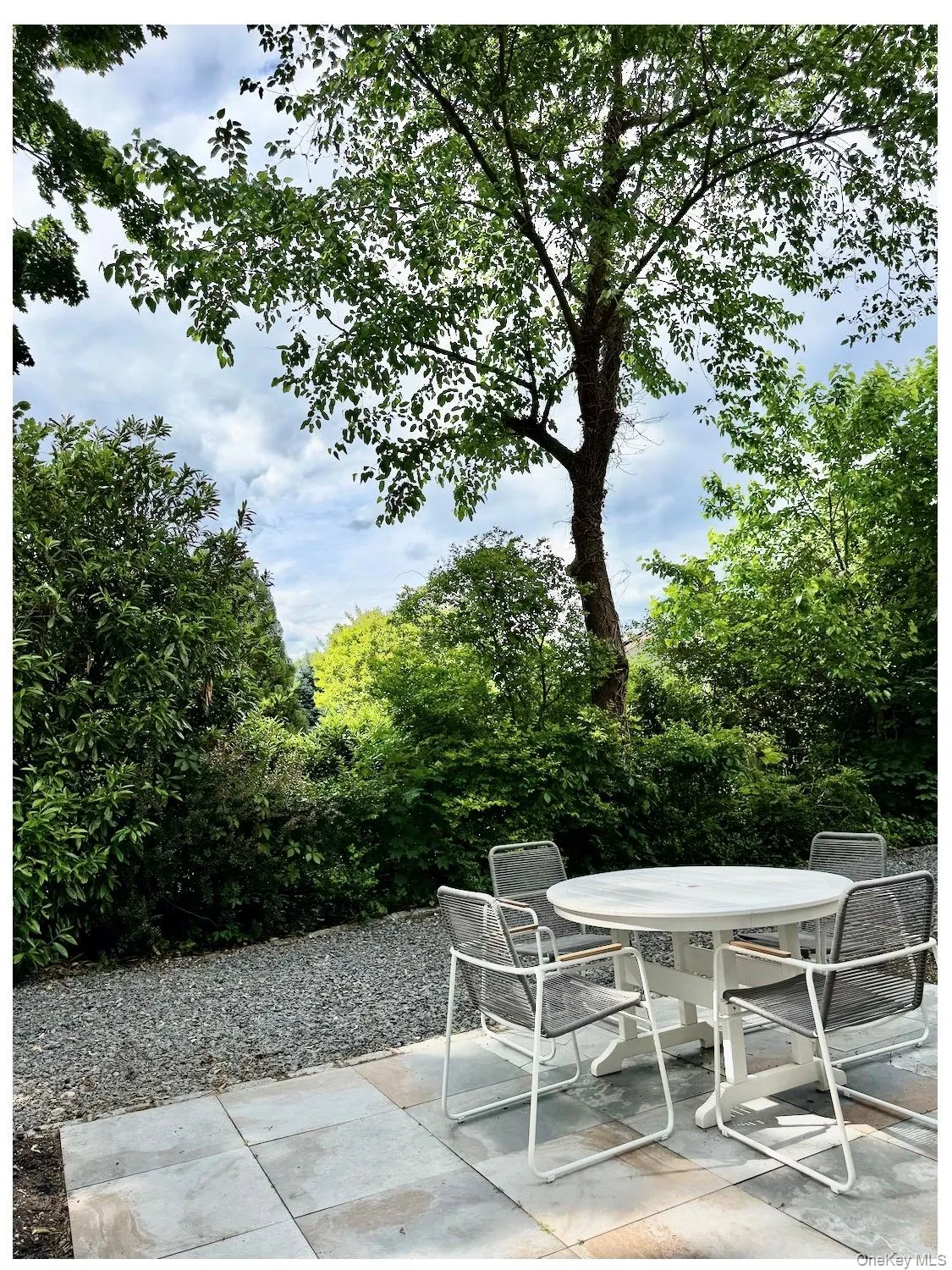 backyard backyard