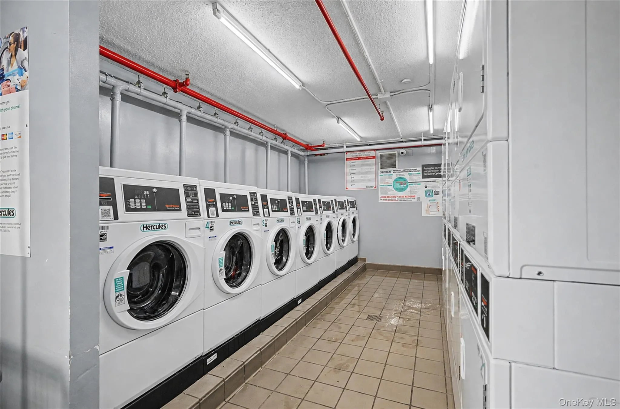 68 Bradhurst Avenue, New York, NY, 3 Bedrooms Bedrooms, 6 Rooms Rooms,2 BathroomsBathrooms,Residential,For Rent,Bradhurst,0,1018885 68 Bradhurst Avenue, New York, NY, 3 Bedrooms Bedrooms, 6 Rooms Rooms,2 BathroomsBathrooms,Residential,For Rent,Bradhurst,0,1018885