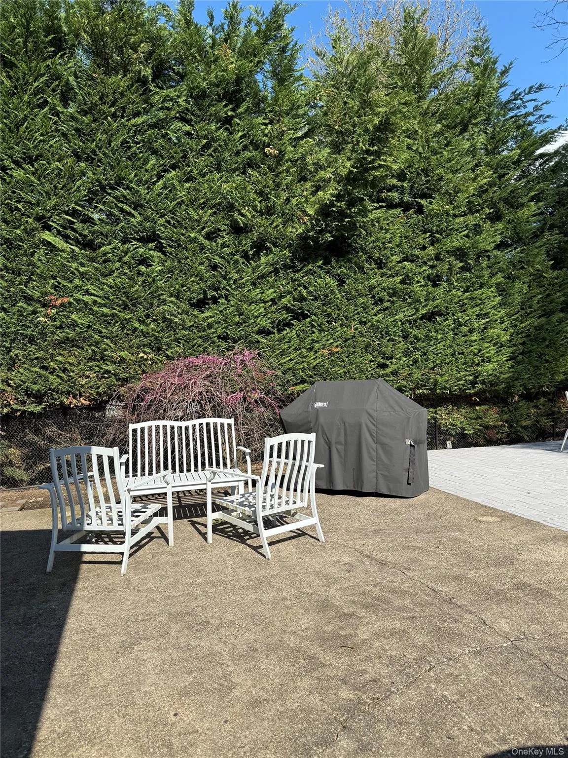 43 Marian Lane, Oyster Bay, NY, 4 Bedrooms Bedrooms, 10 Rooms Rooms,4 BathroomsBathrooms,Residential,For Rent,Marian,0,1018911 43 Marian Lane, Oyster Bay, NY, 4 Bedrooms Bedrooms, 10 Rooms Rooms,4 BathroomsBathrooms,Residential,For Rent,Marian,0,1018911